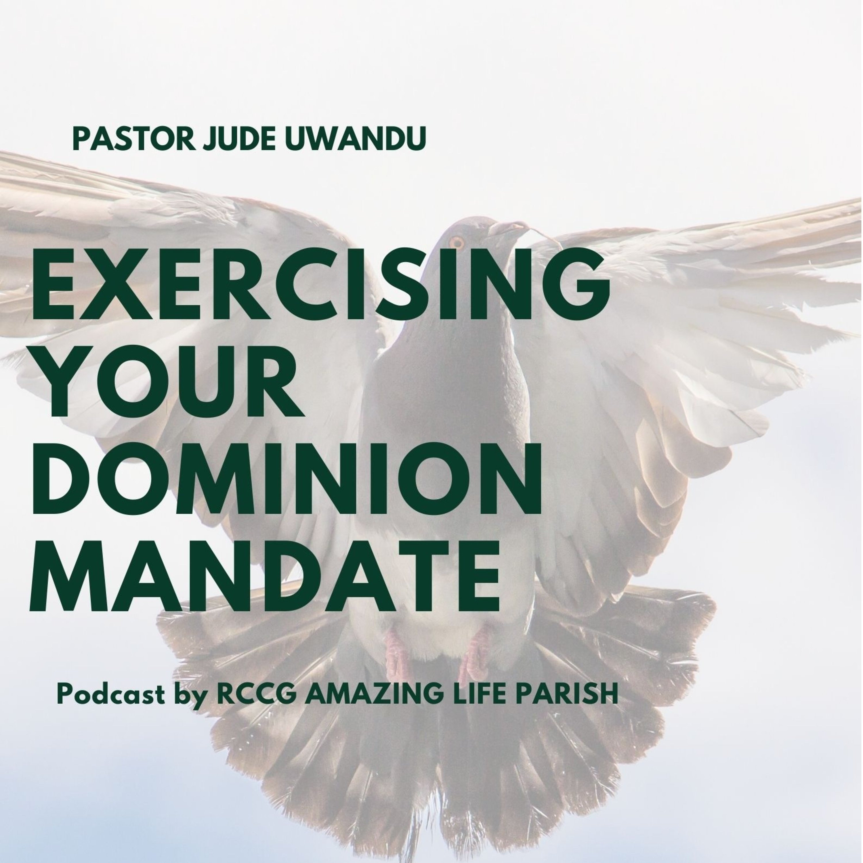 RCCG Amazing Life Parish