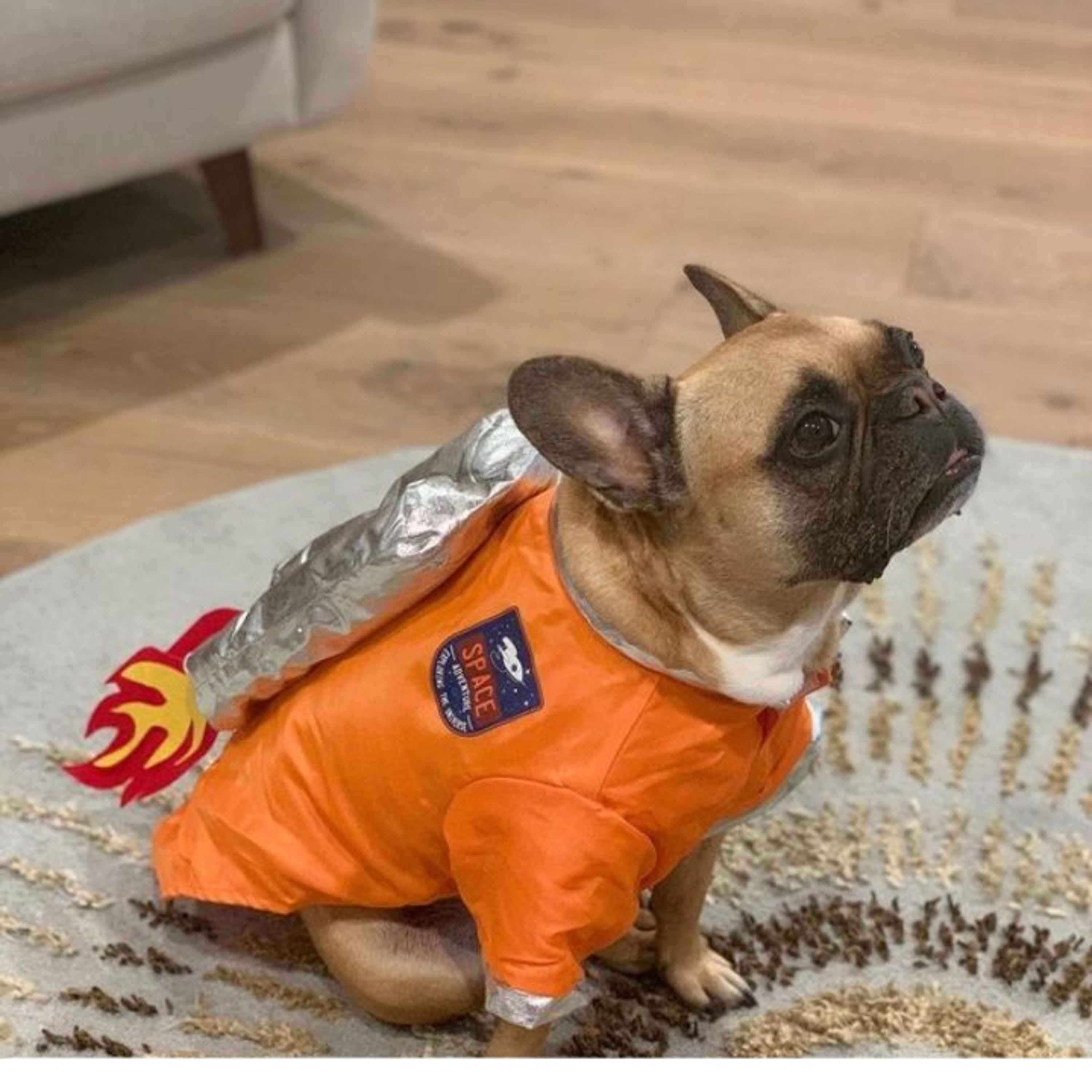 Candy Is Yummy