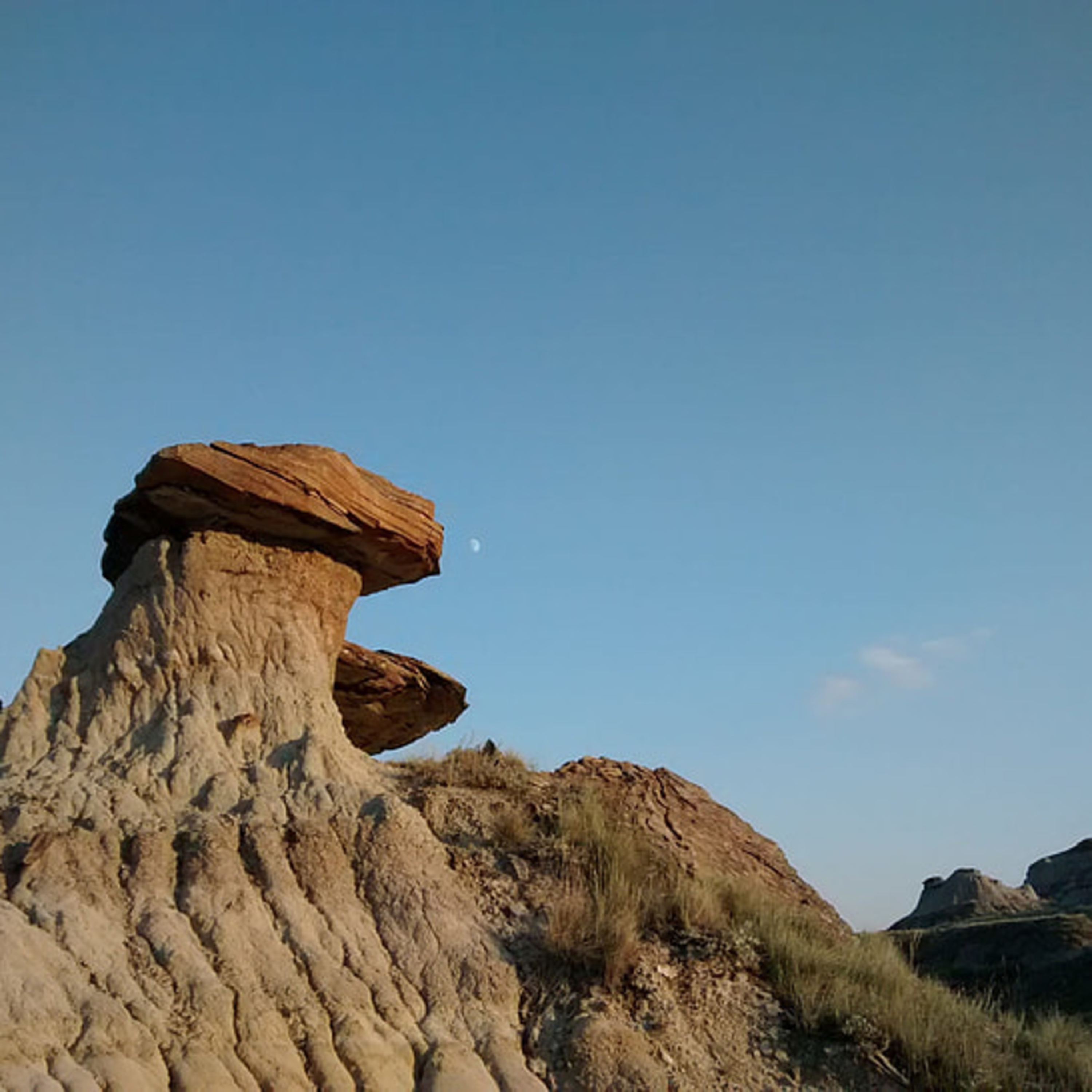 The Stanley K. Freiberg Project