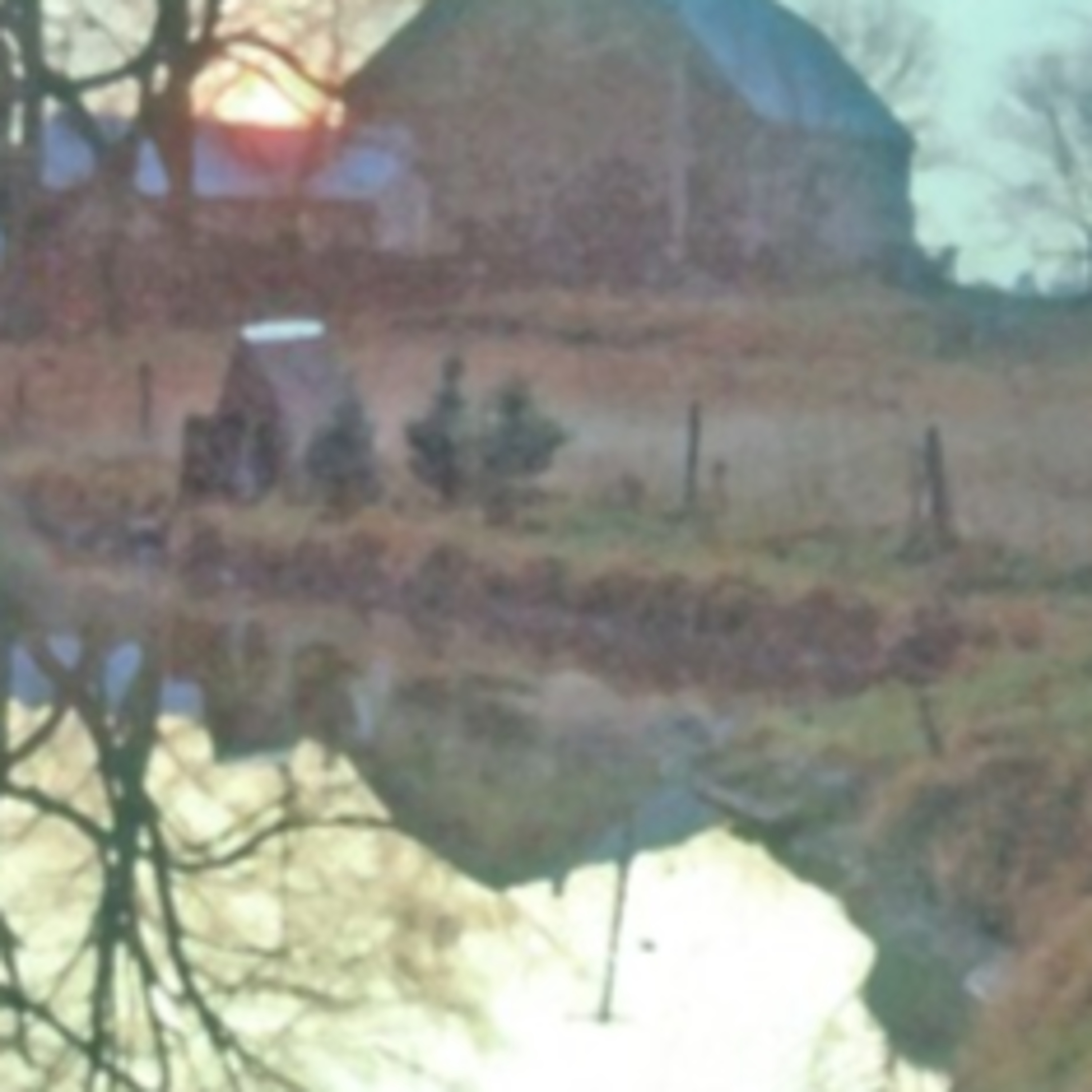 The Stanley K. Freiberg Project