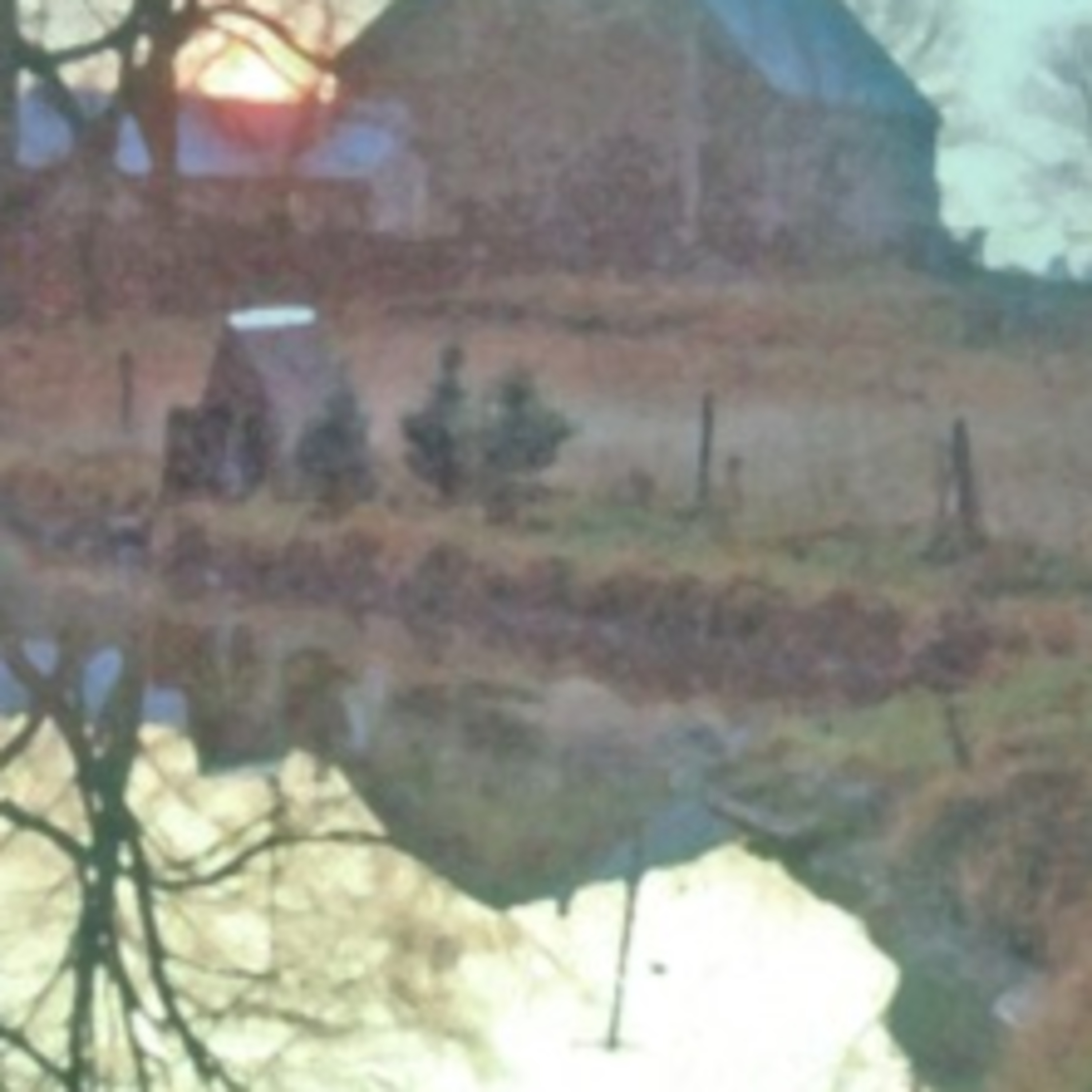 The Stanley K. Freiberg Project