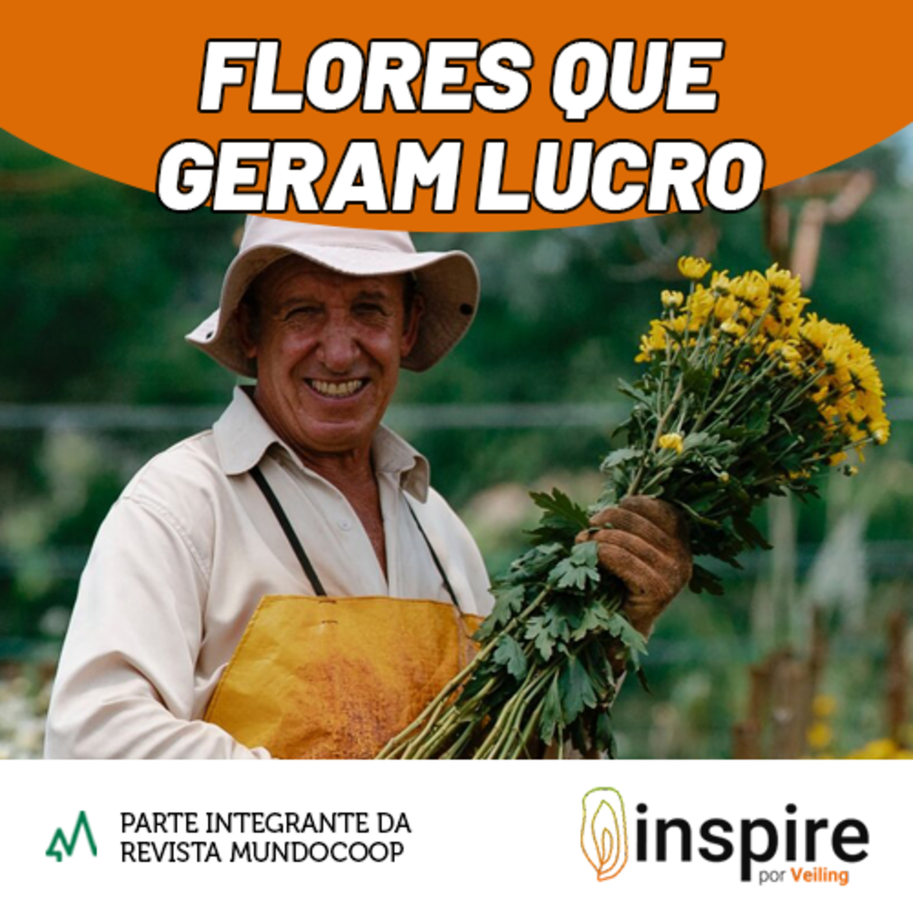 MundoCoop - Informação e inspiração para o cooperativismo!
