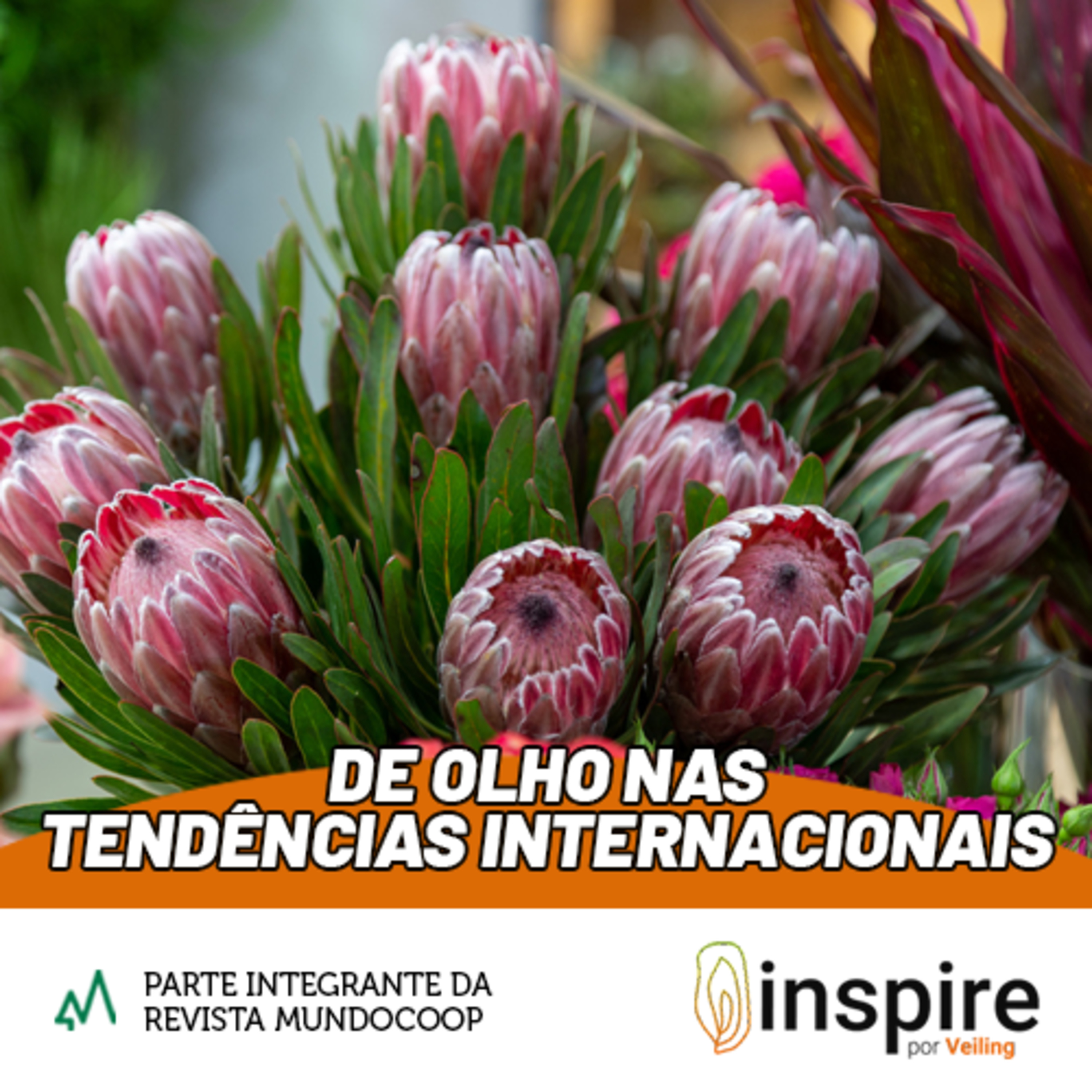 MundoCoop - Informação e inspiração para o cooperativismo!