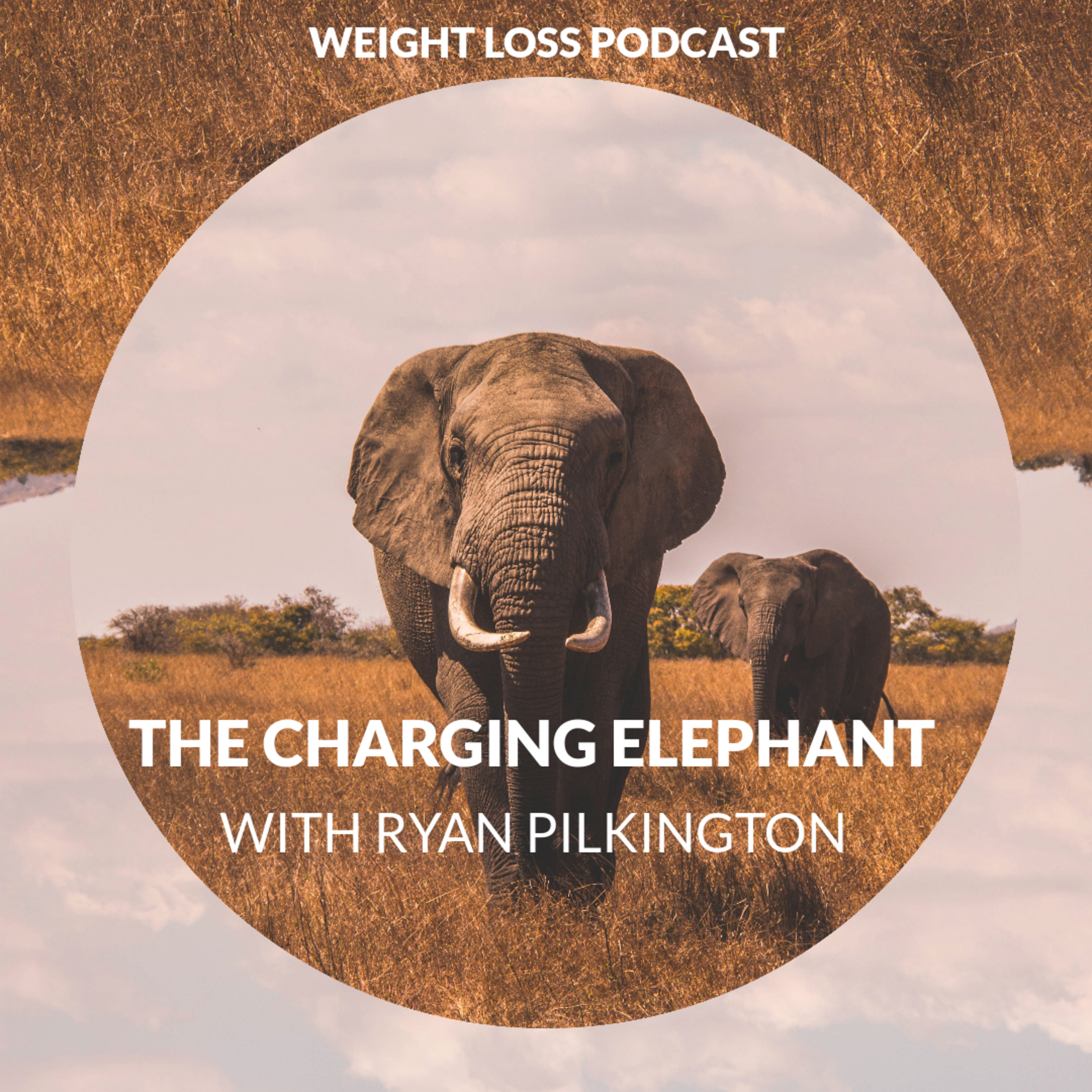 The Charging Elephant