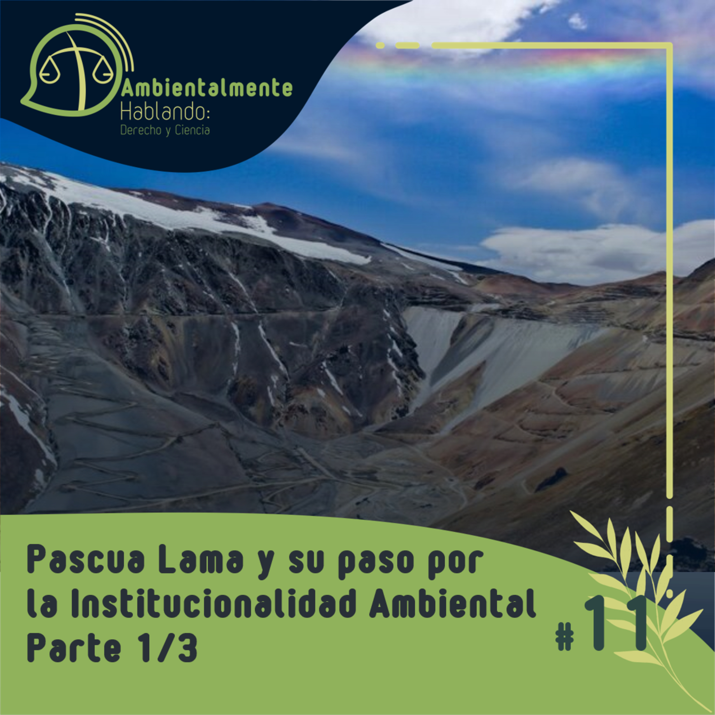 #11 Parte 1 (Origen - 2014) - Pascua Lama y su paso por la Institucionalidad Ambiental