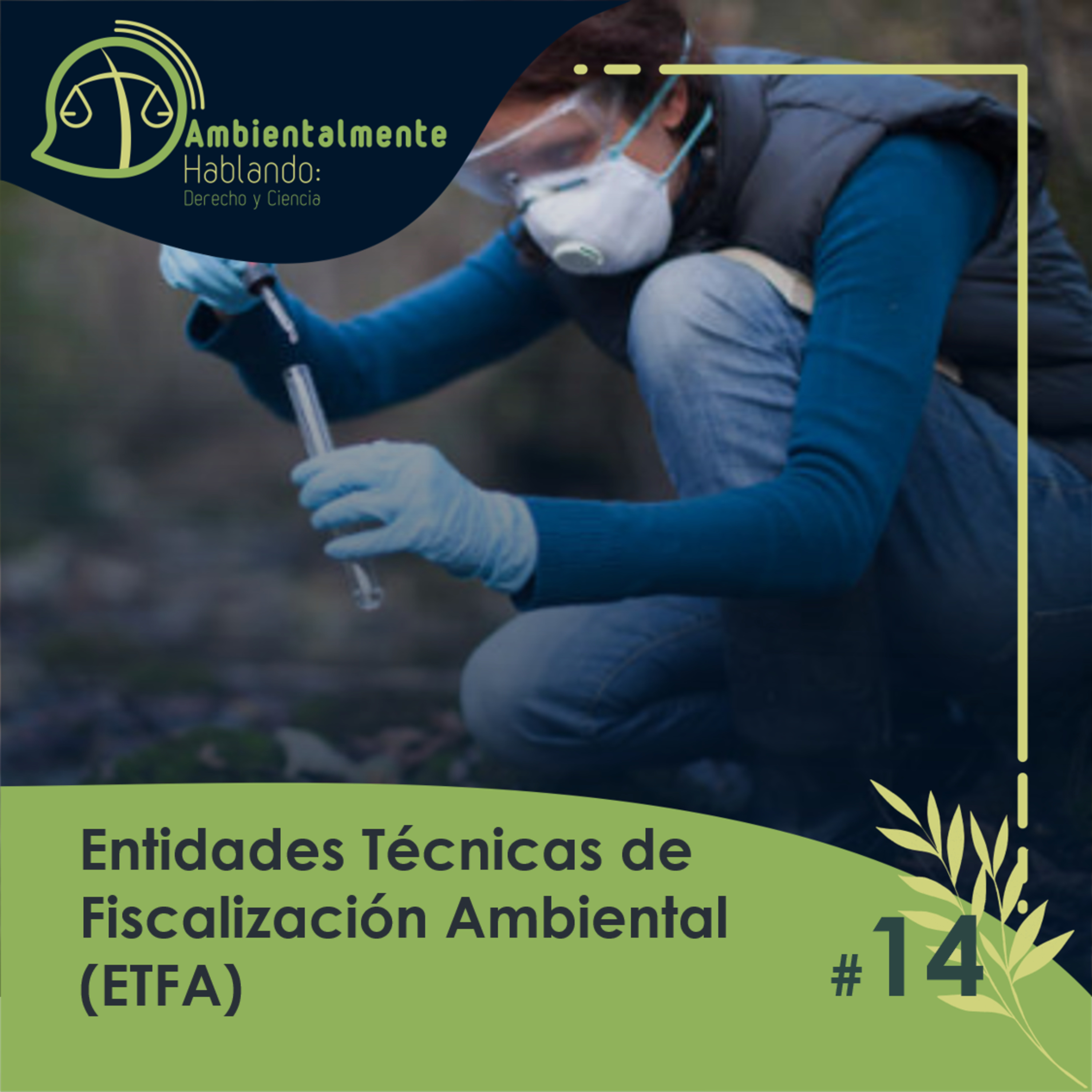 #14 Entidades Técnicas de Fiscalización Ambiental (ETFA)
