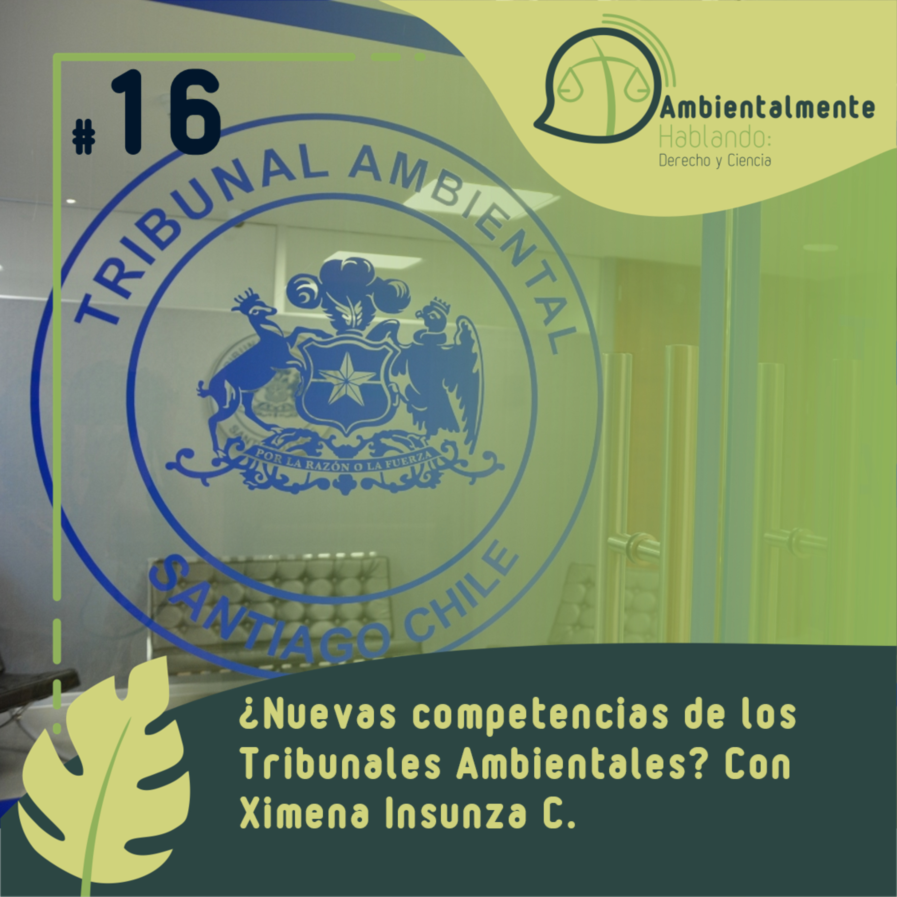 #16 ¿Nuevas competencias de los Tribunales Ambientales? con Ximena Insunza C.