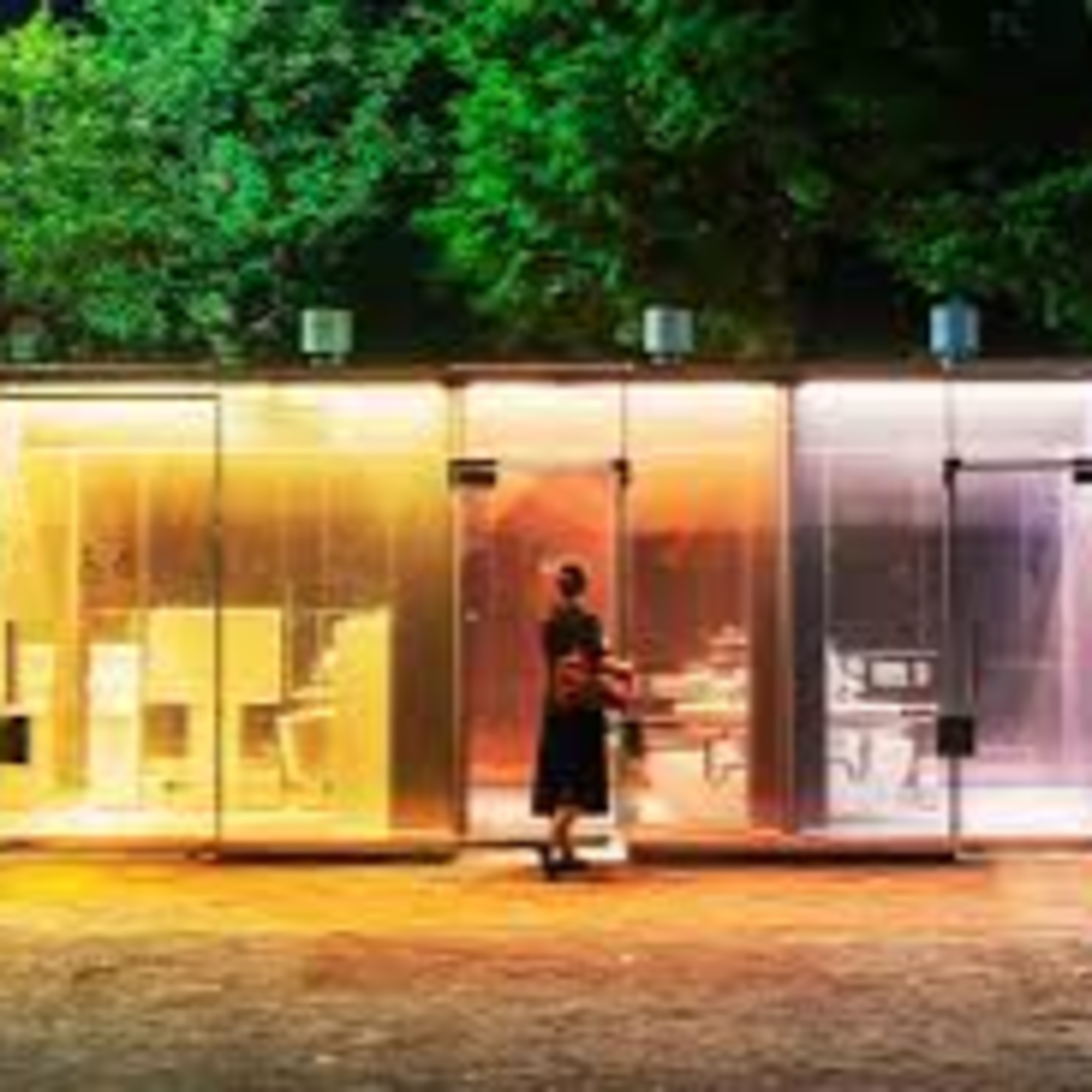Transparent Toilets