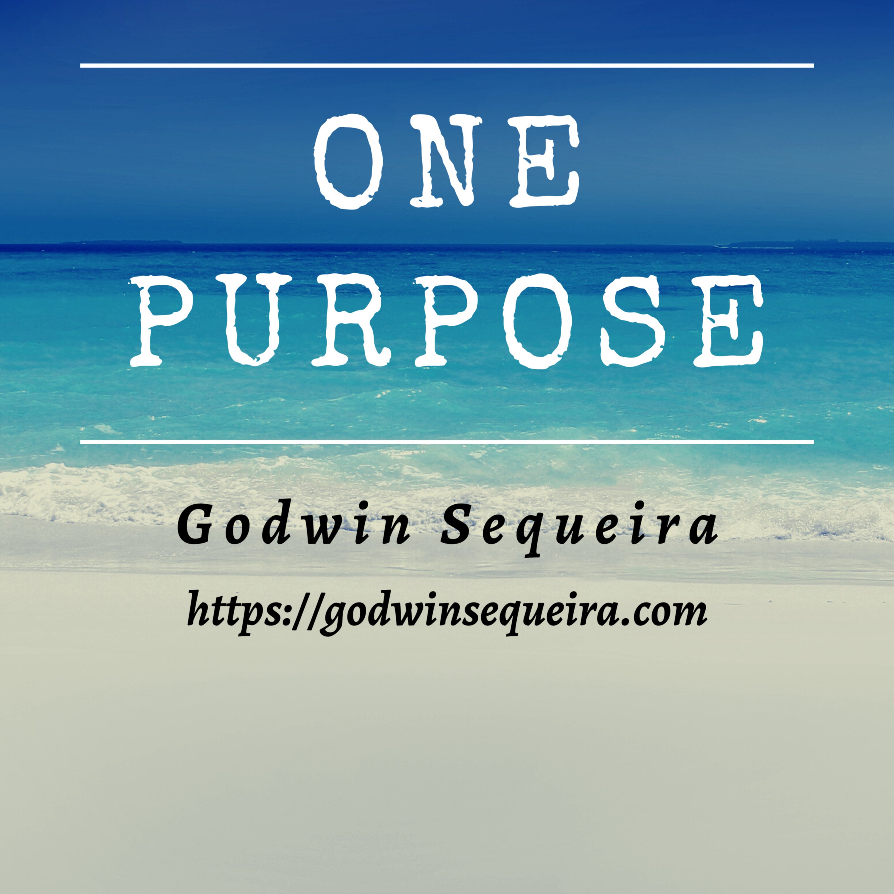 Apostolic Wisdom - Godwin Sequeira