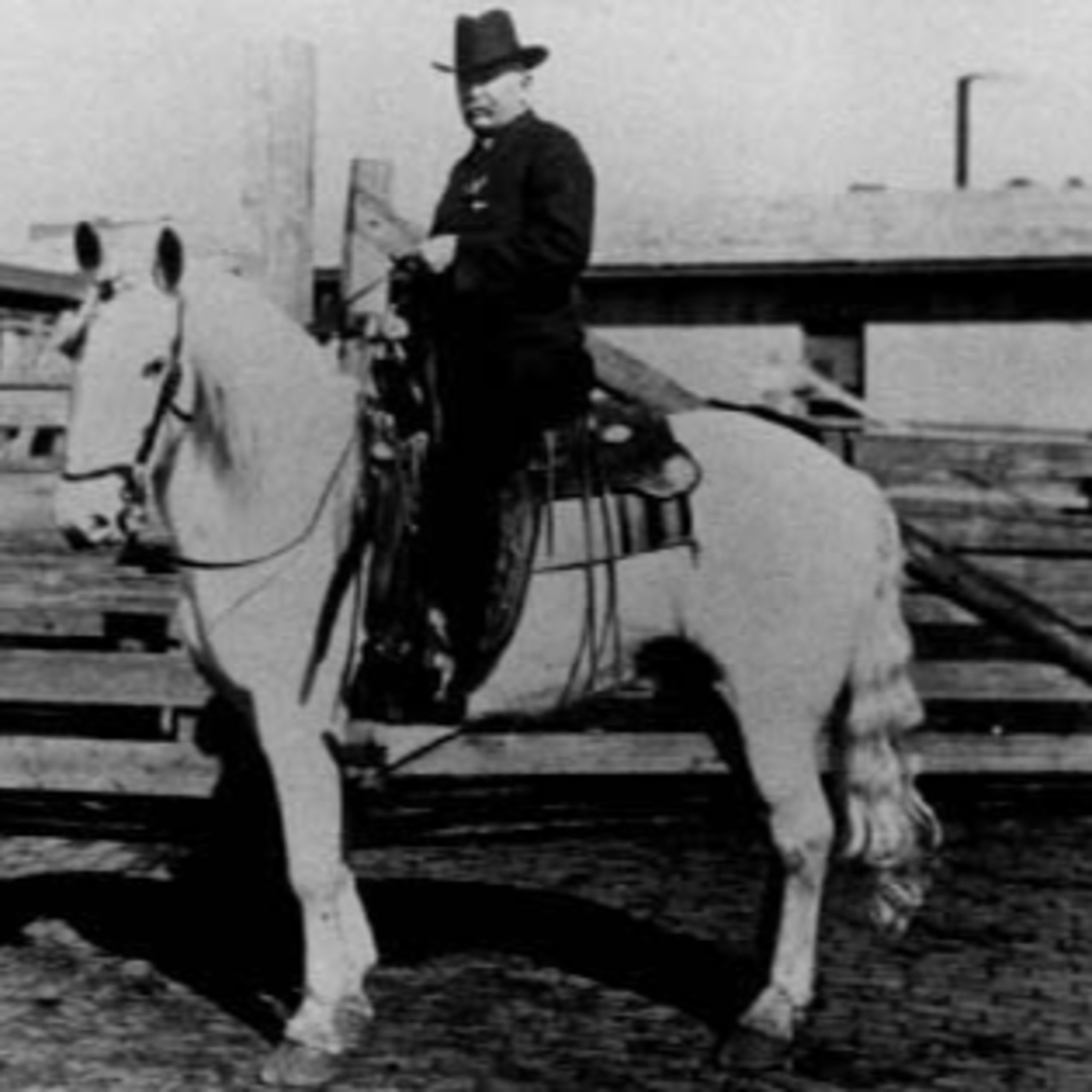 Julie Coley Murders and History in Texas