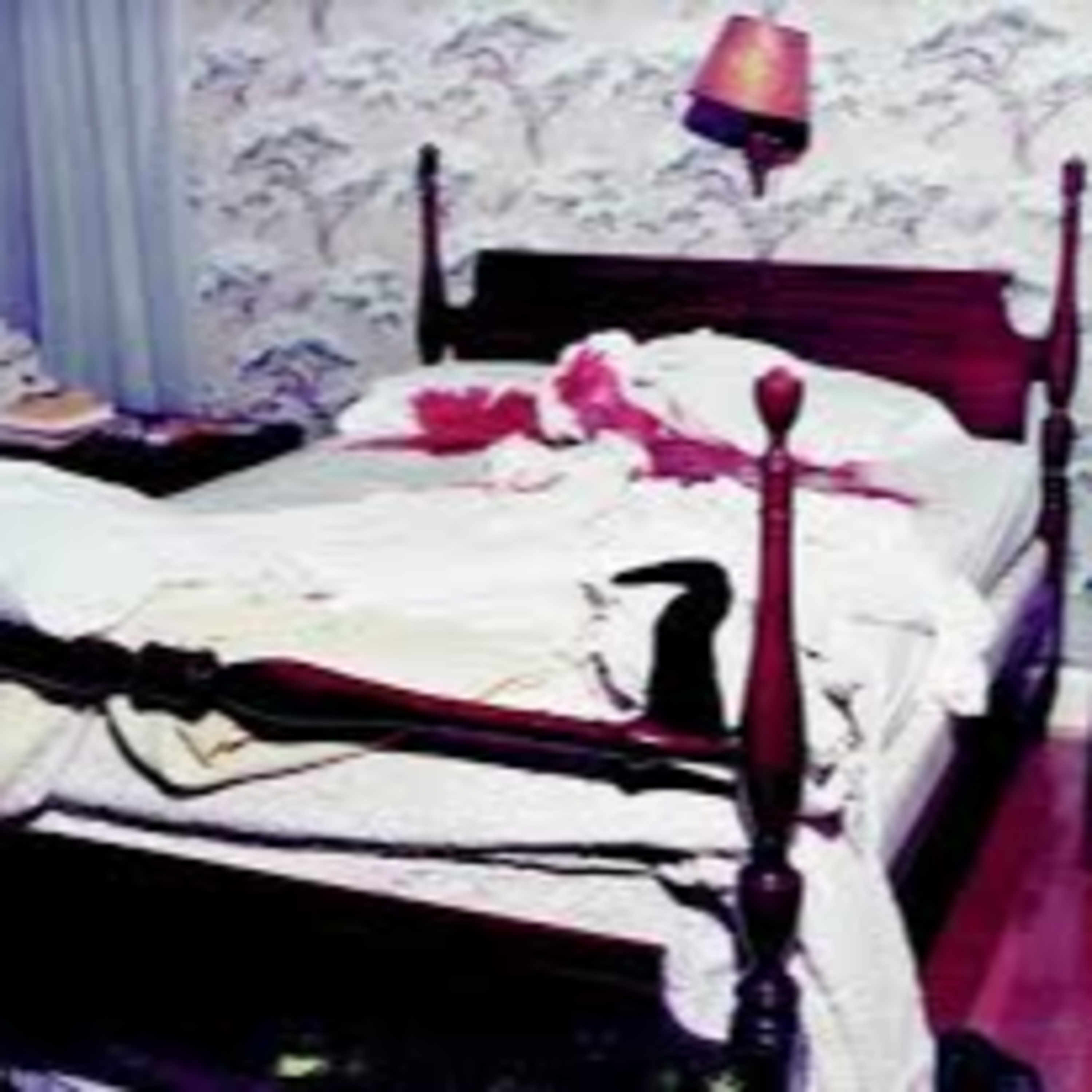 Julie Coley Murders and History in Texas