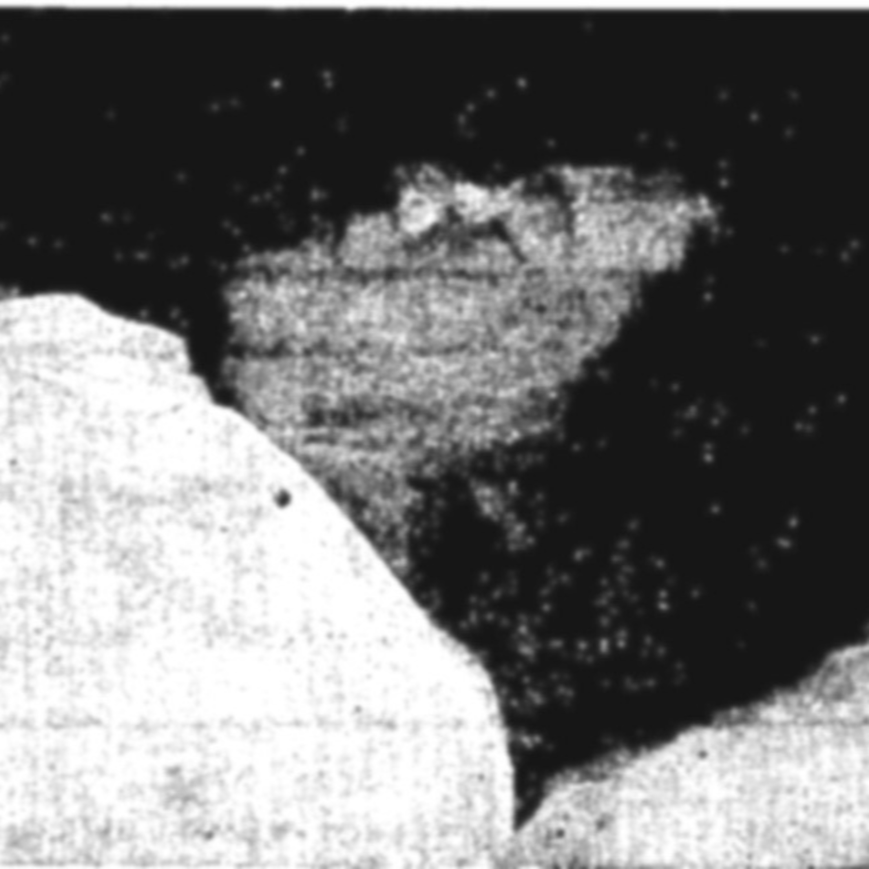 Julie Coley Murders and History in Texas