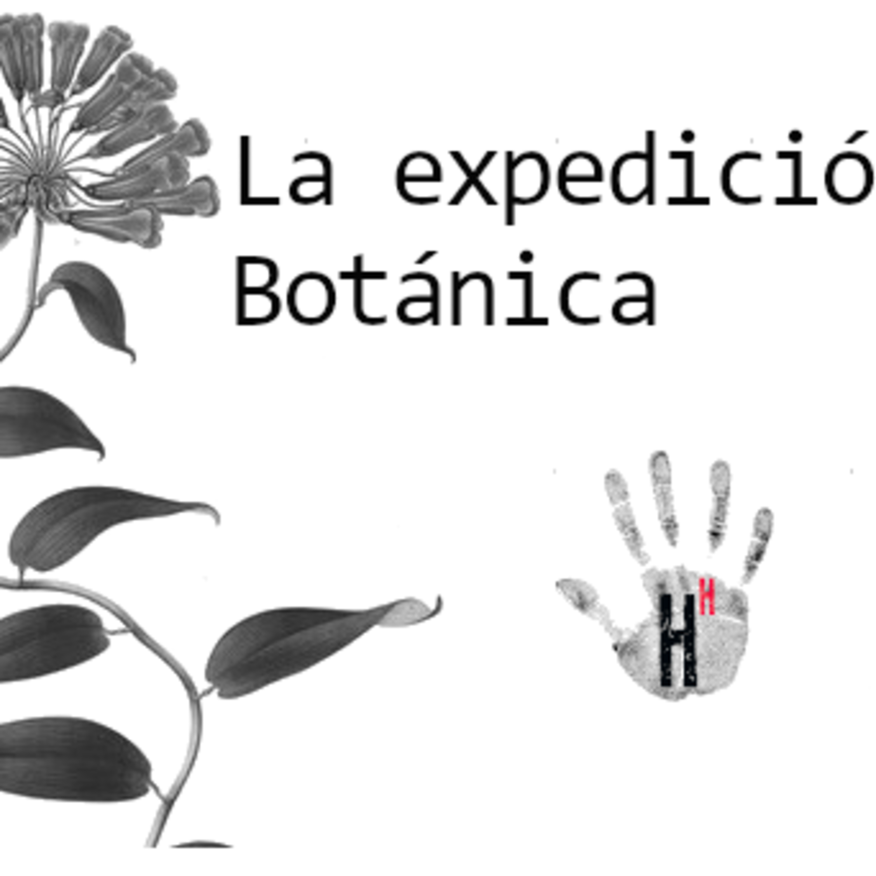 La Expedición Botánica 1873 episode artwork