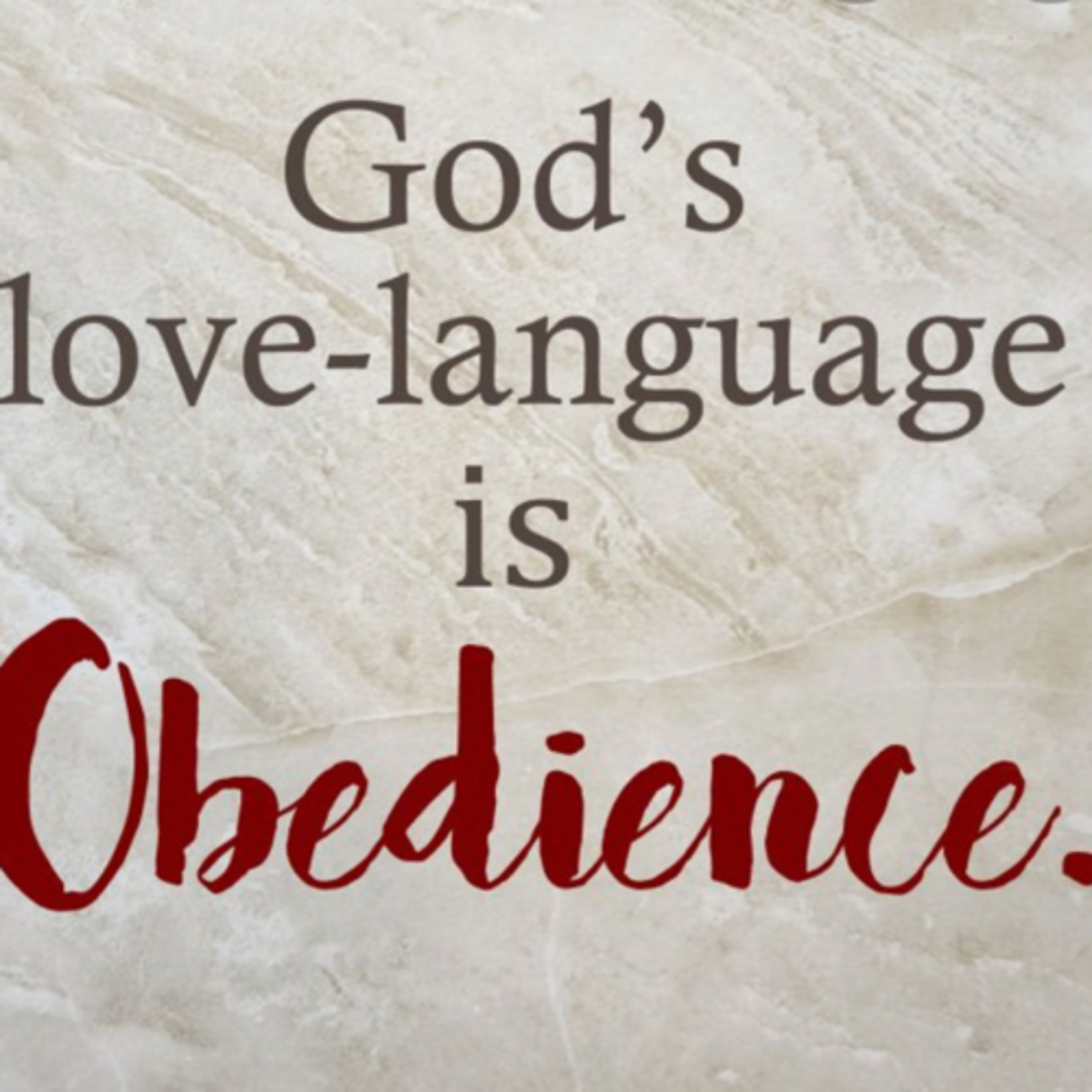 Obedience  episode artwork