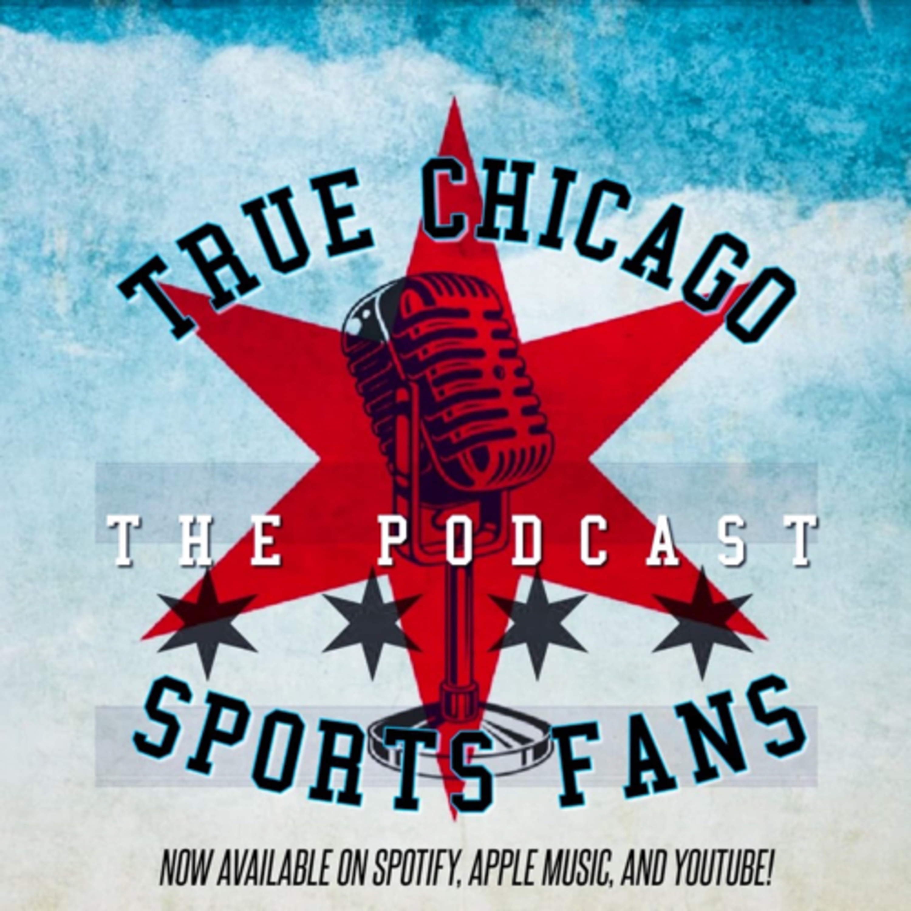 True Chicago Sports Fans