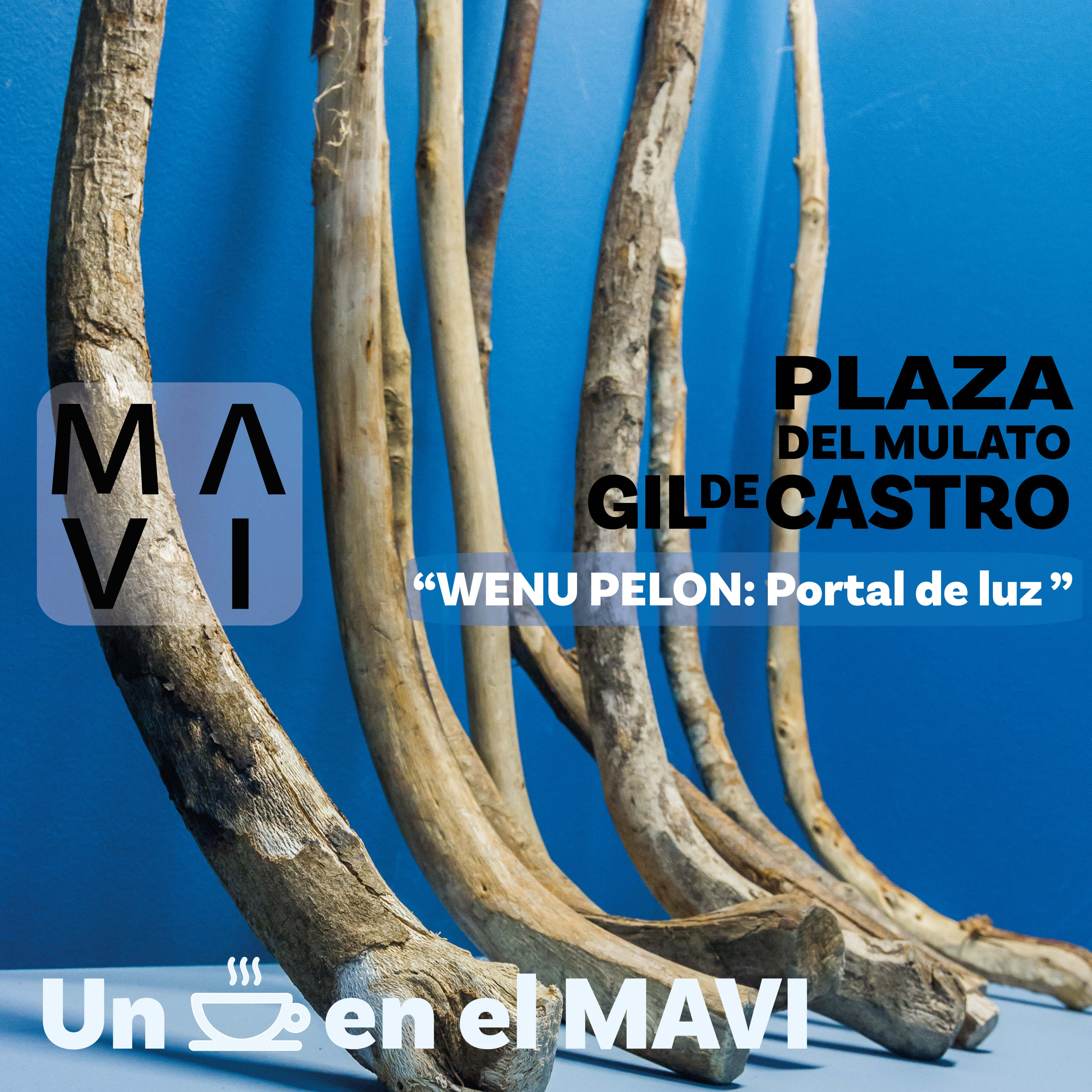 MAVI UC