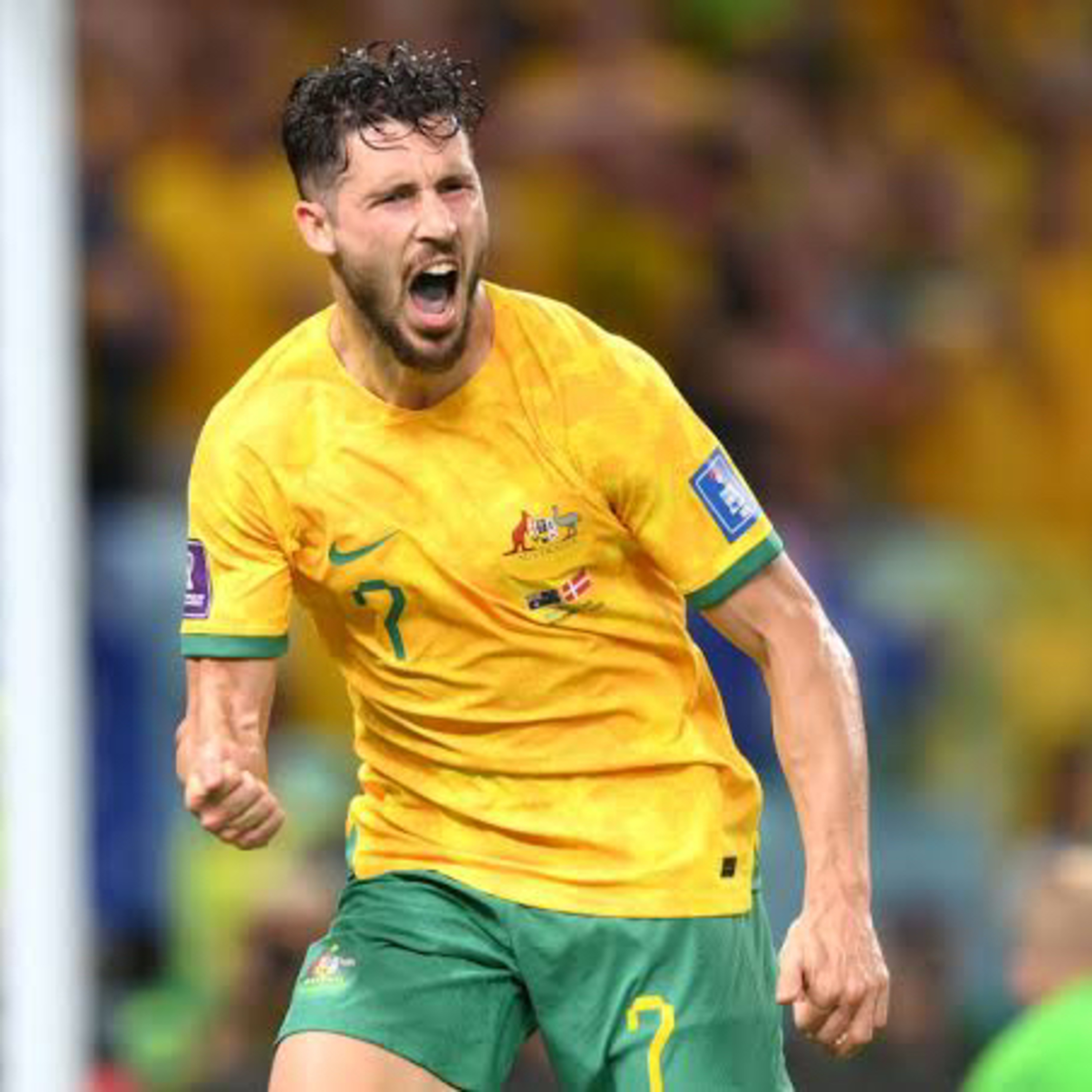 Love Sport Podcast - post Socceroos win against Denmark!  episode artwork