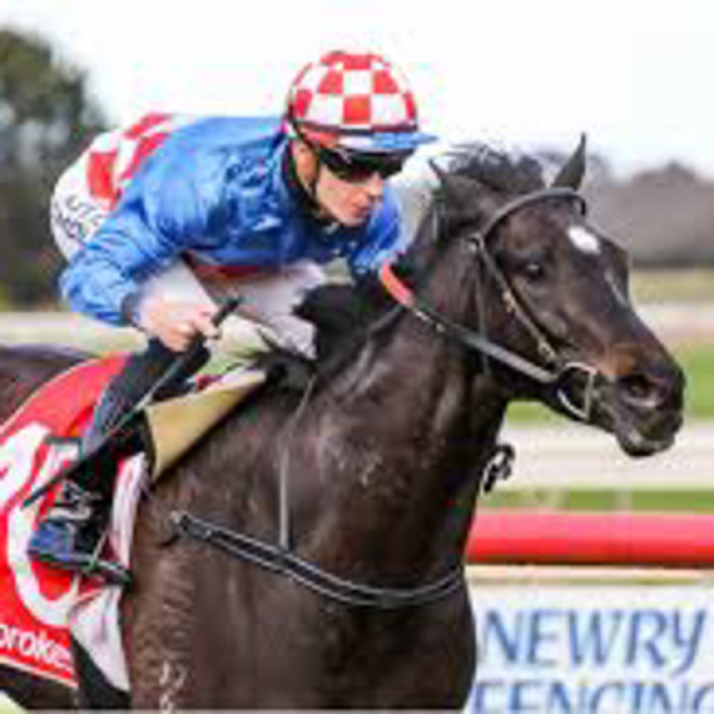 The Love Sport Podcast - ICON series - Makybe Diva  episode artwork