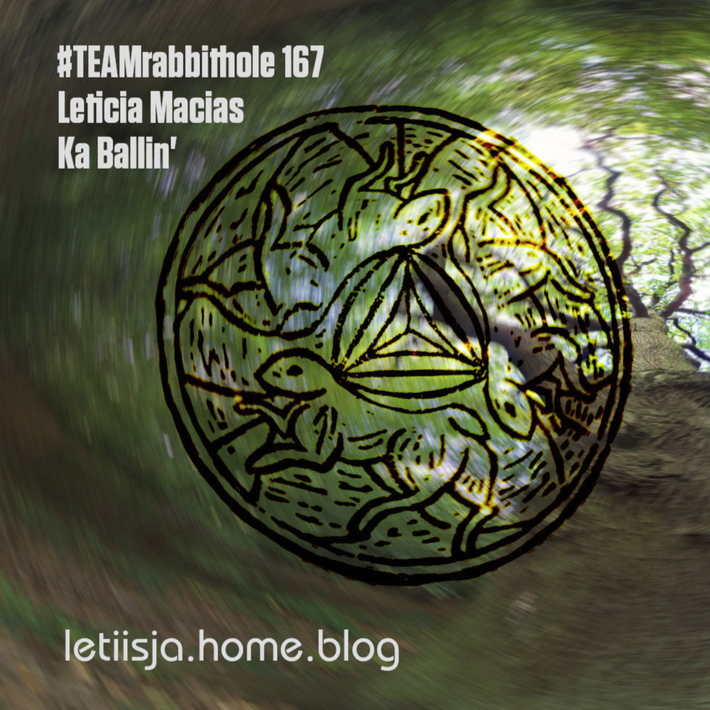 #TEAMrabbithole | A place to \