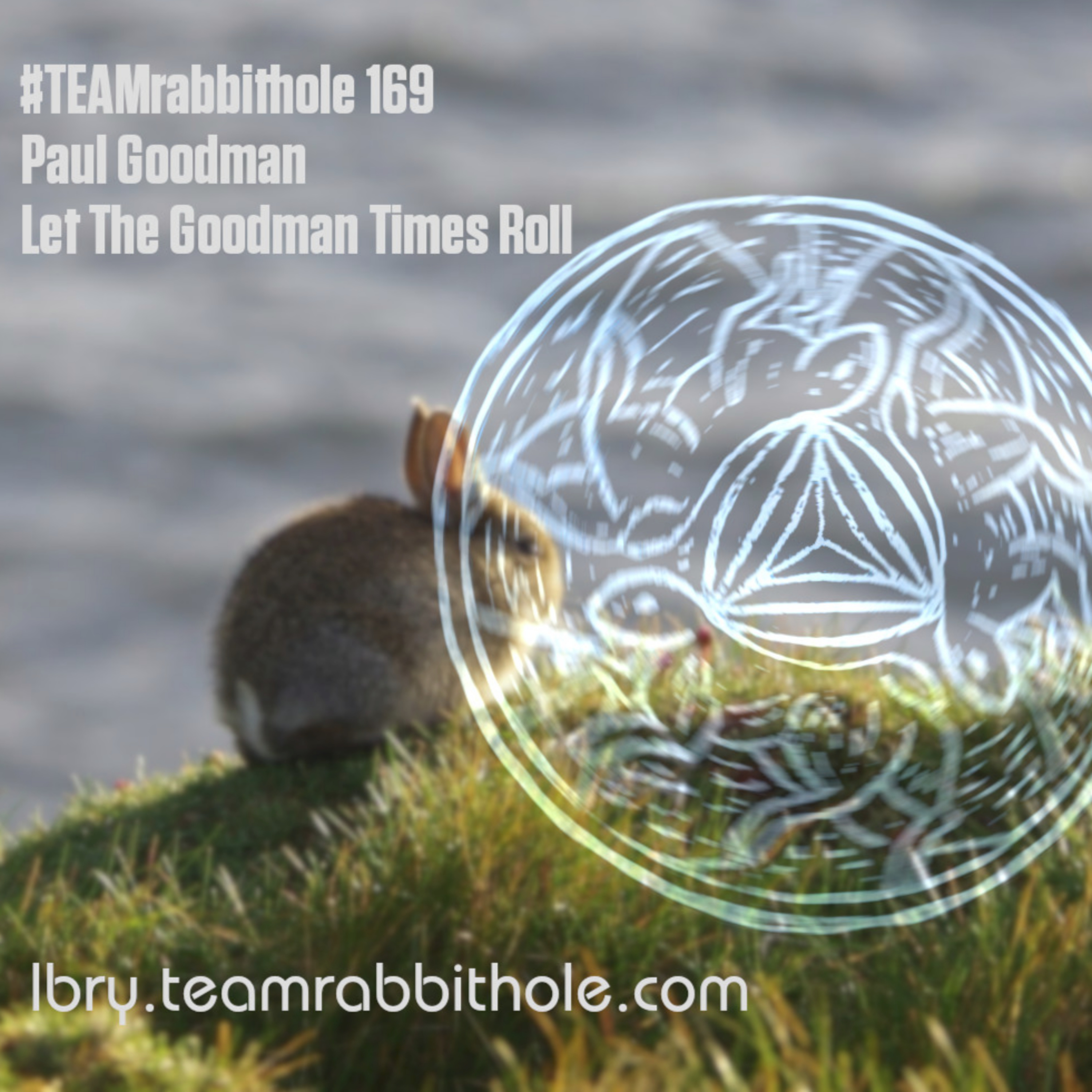 #TEAMrabbithole 169 | Paul Goodman - Let The Goodman Times Roll  episode artwork