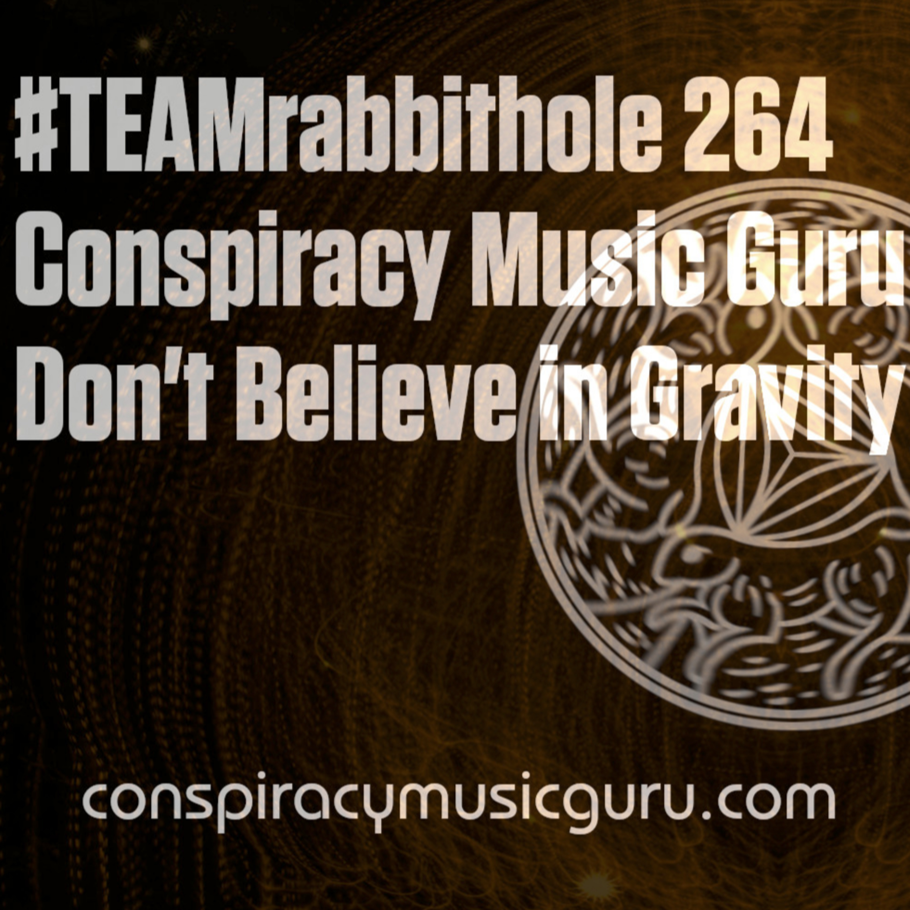 #TEAMrabbithole 264 | Conspiracy Music Guru - Don't Believe in Gravity - January 14, 2022 episode artwork
