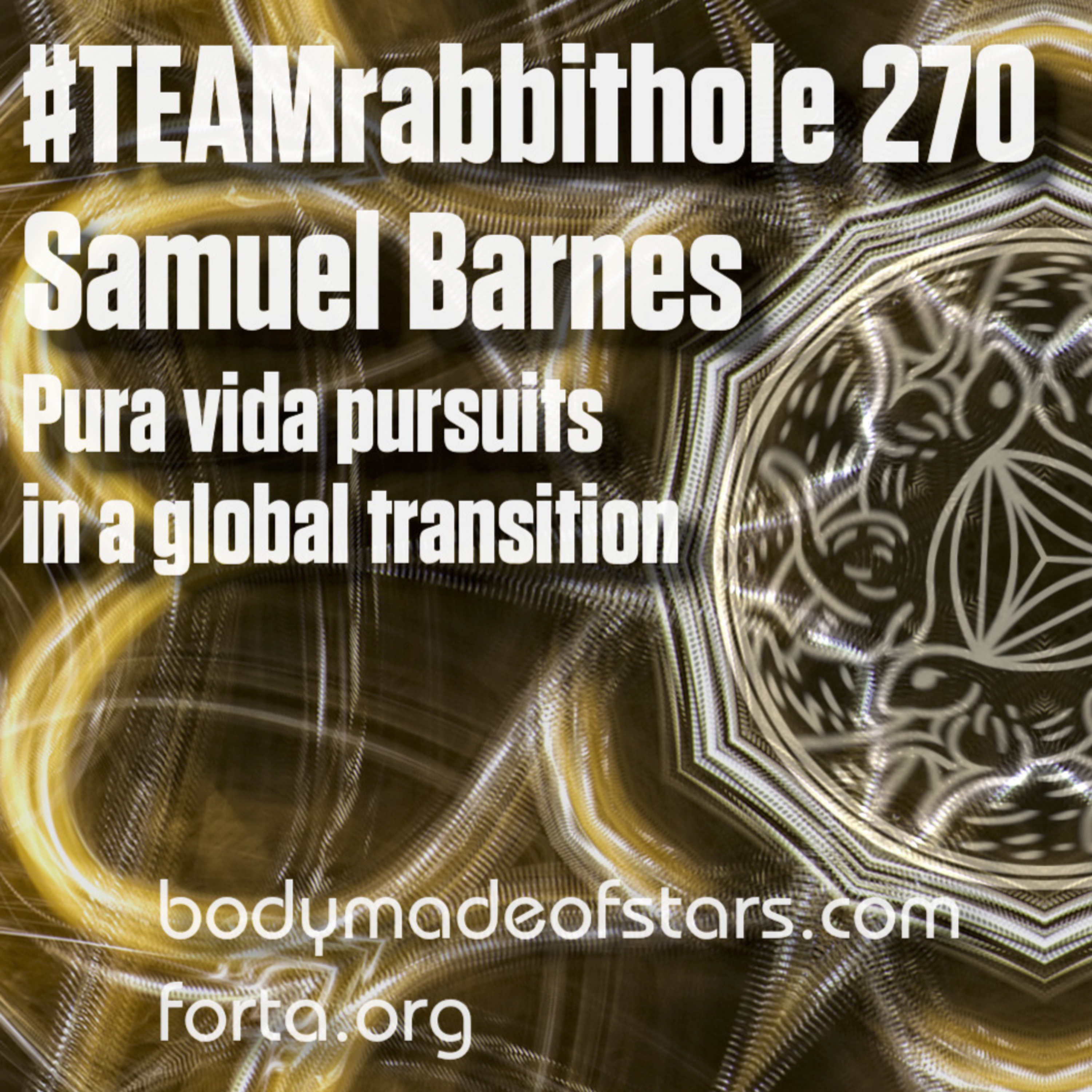 #TEAMrabbithole | A place to \