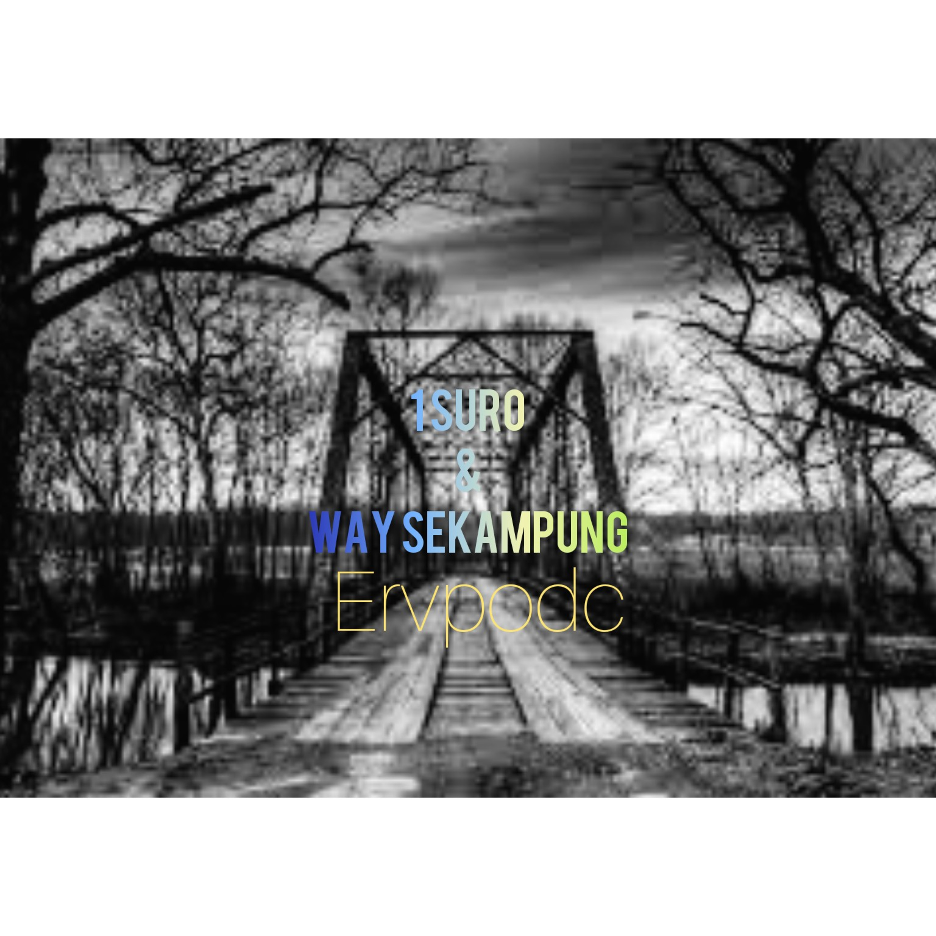 ERVPODC by ERVPresent