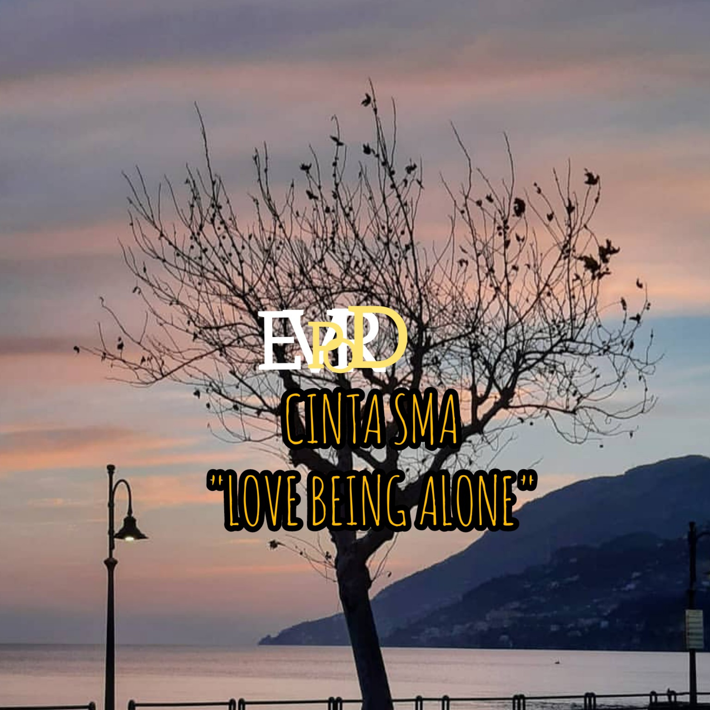ERVPODC by ERVPresent