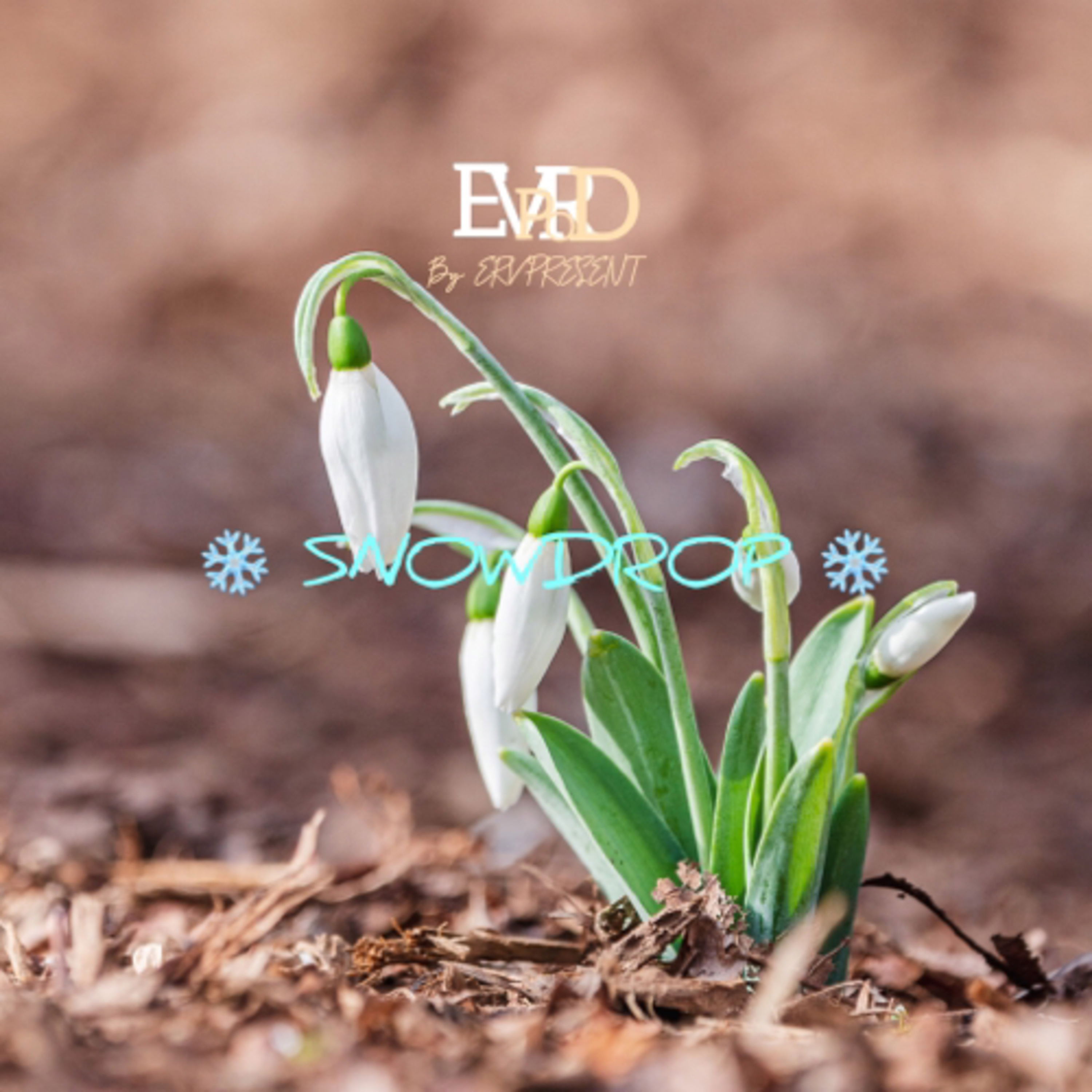 ERVPODC by ERVPresent