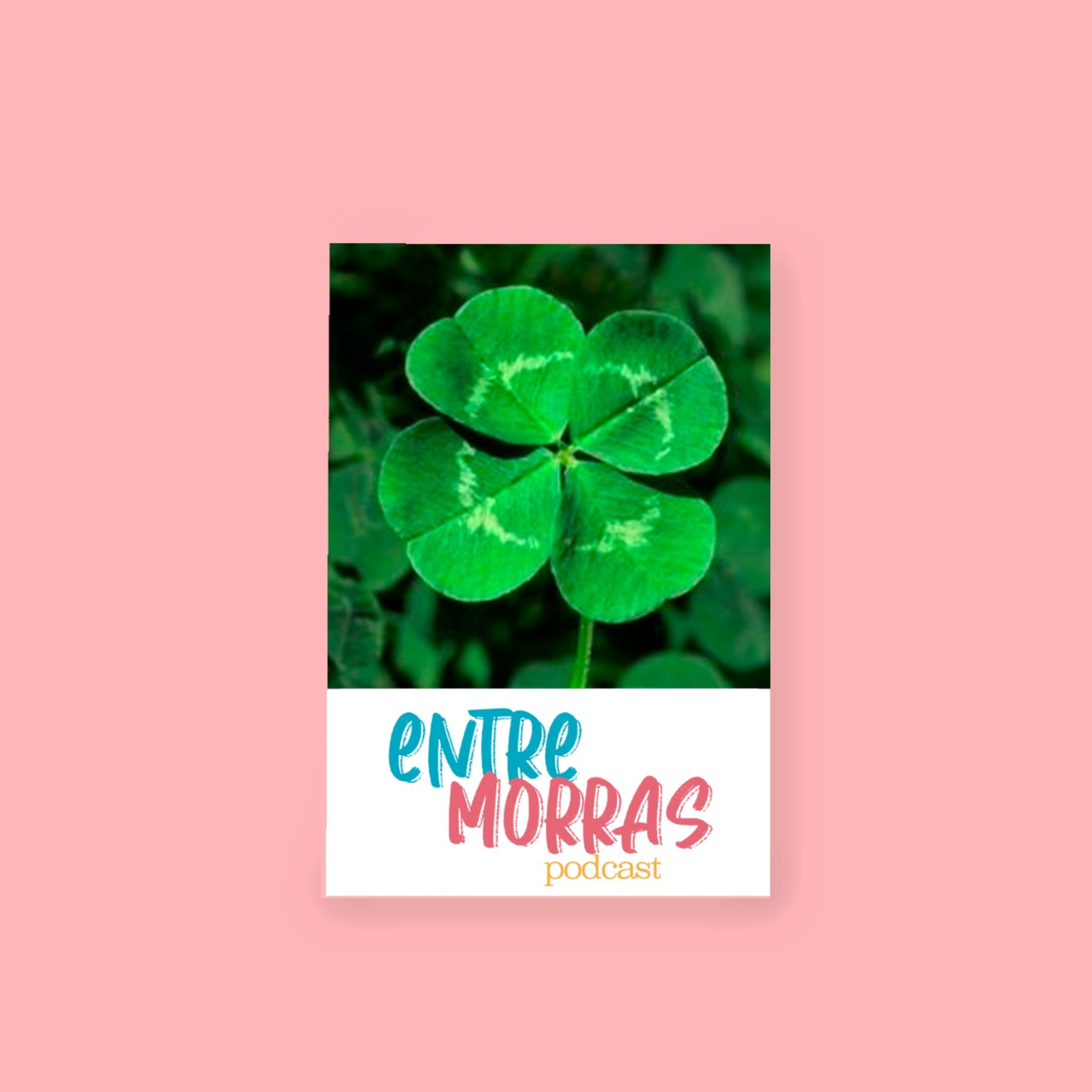 Entre Morras