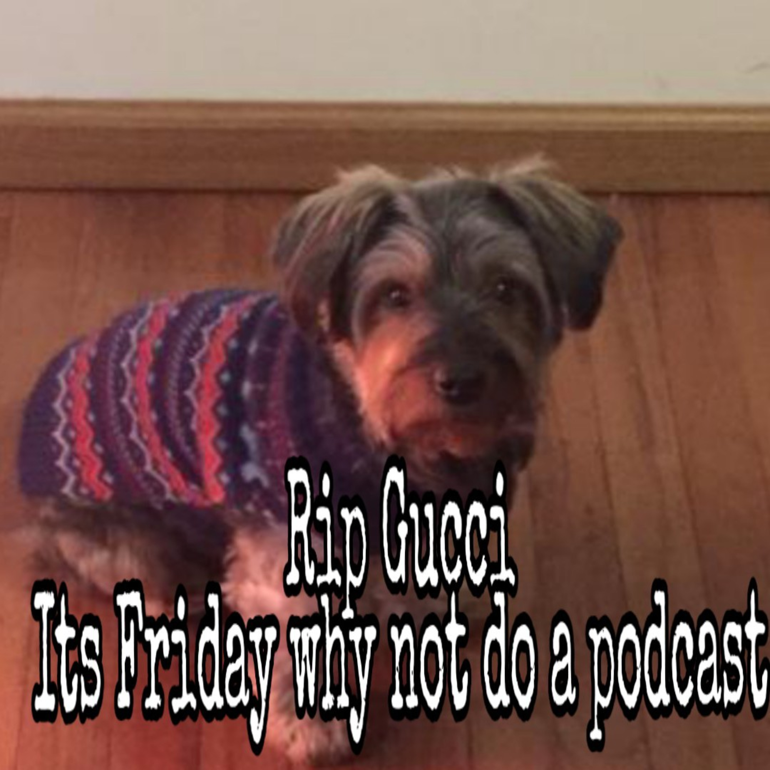 Anything & Everything Podcast