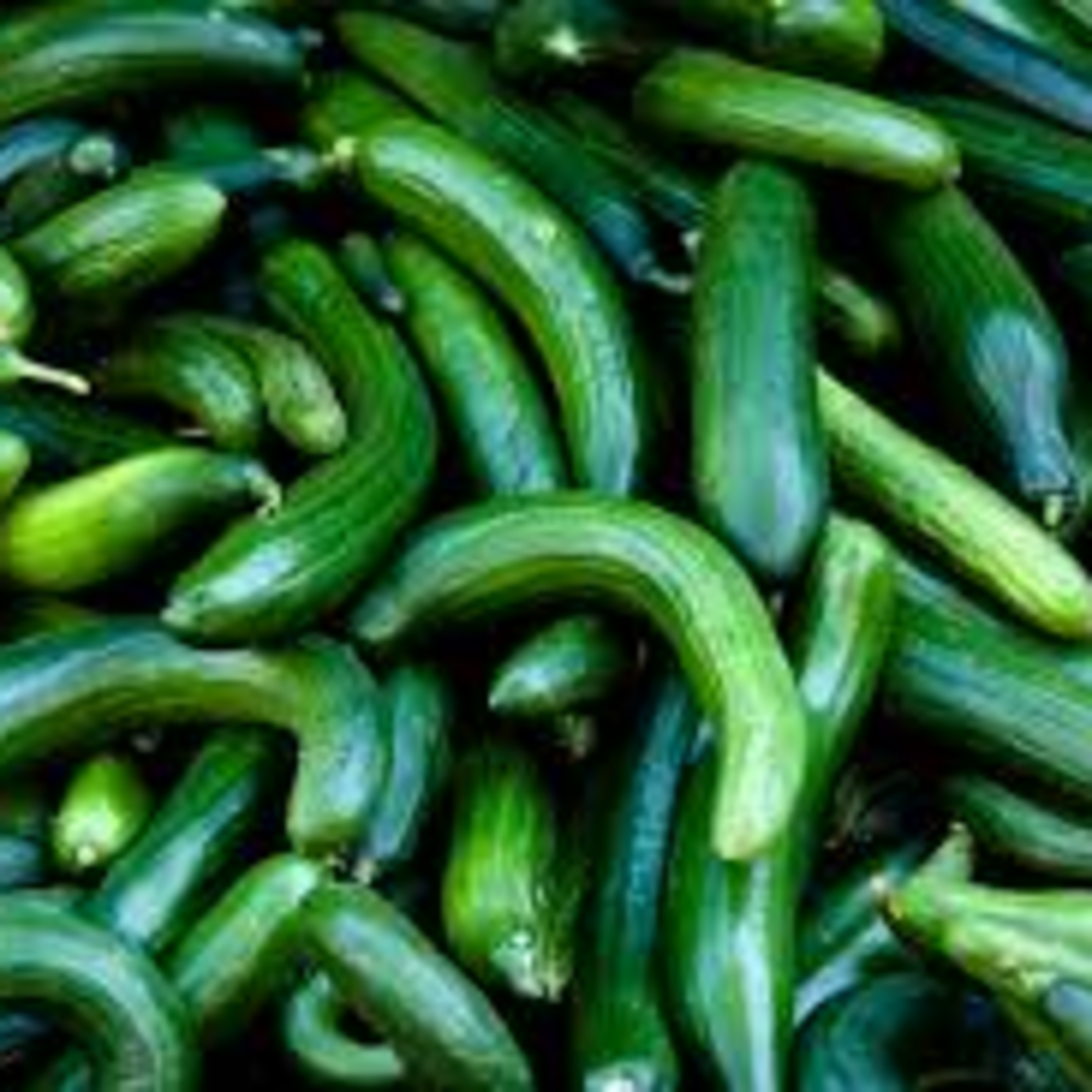 Best of FML (Fuck My Life)