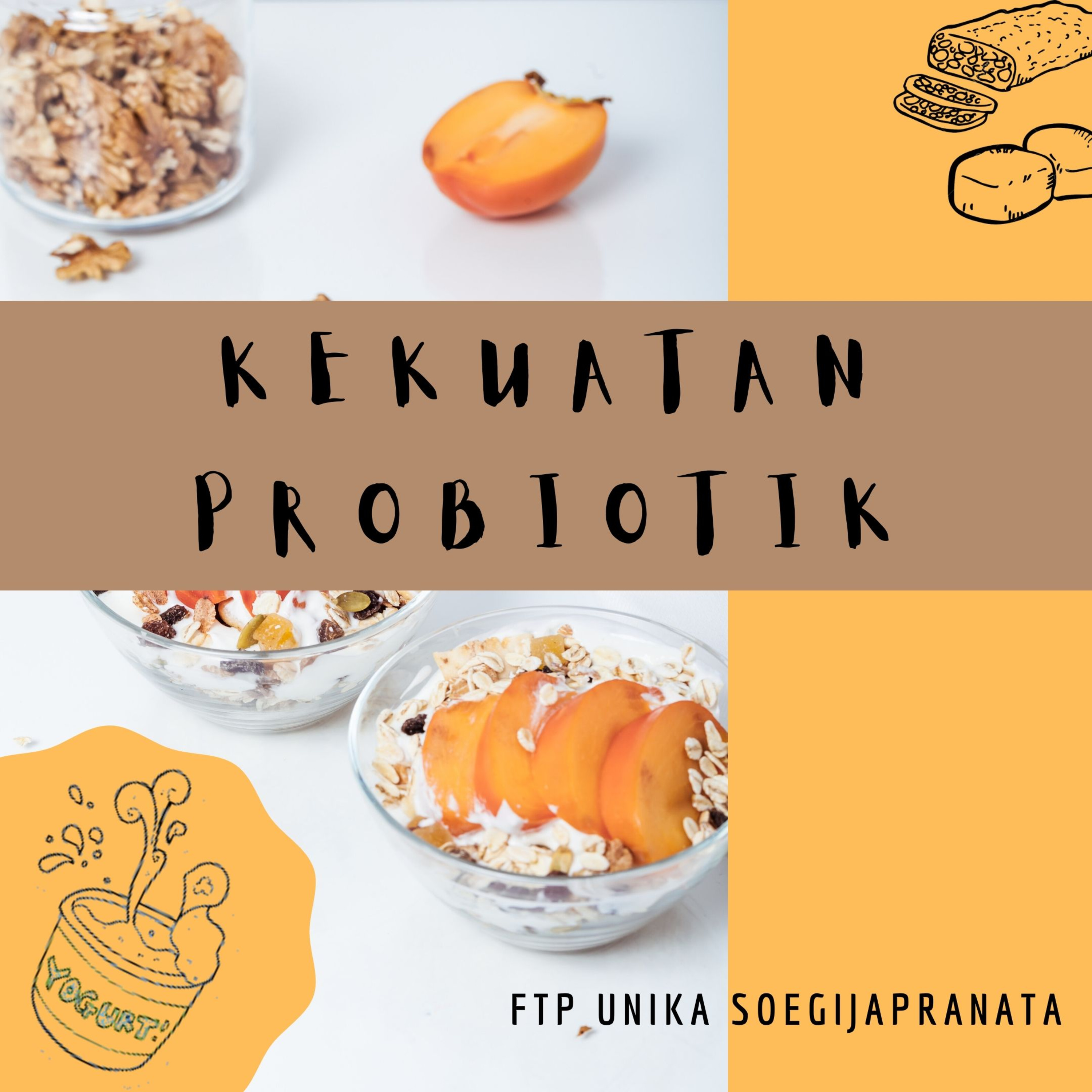 Foodie Land FTP Unika