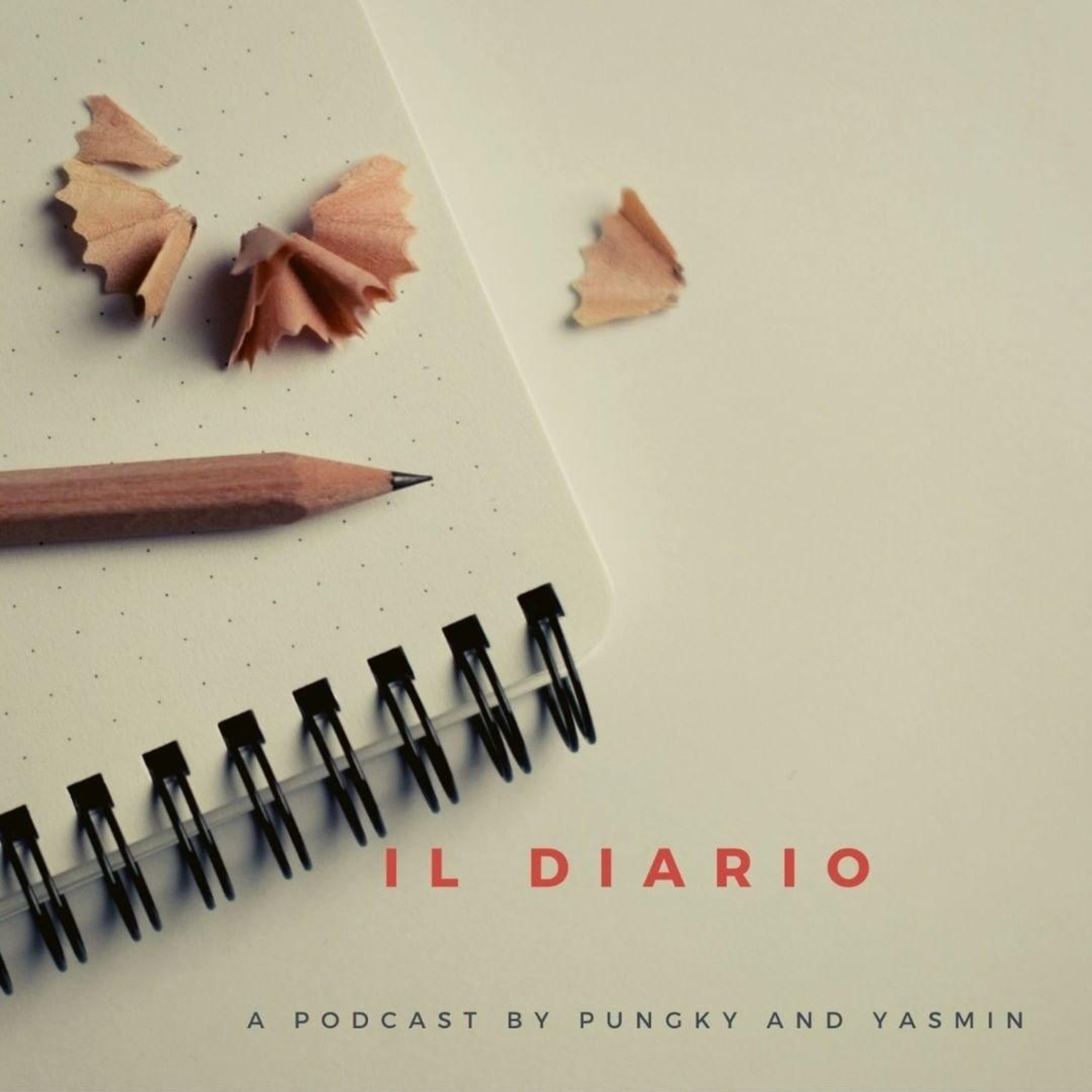 il Diario
