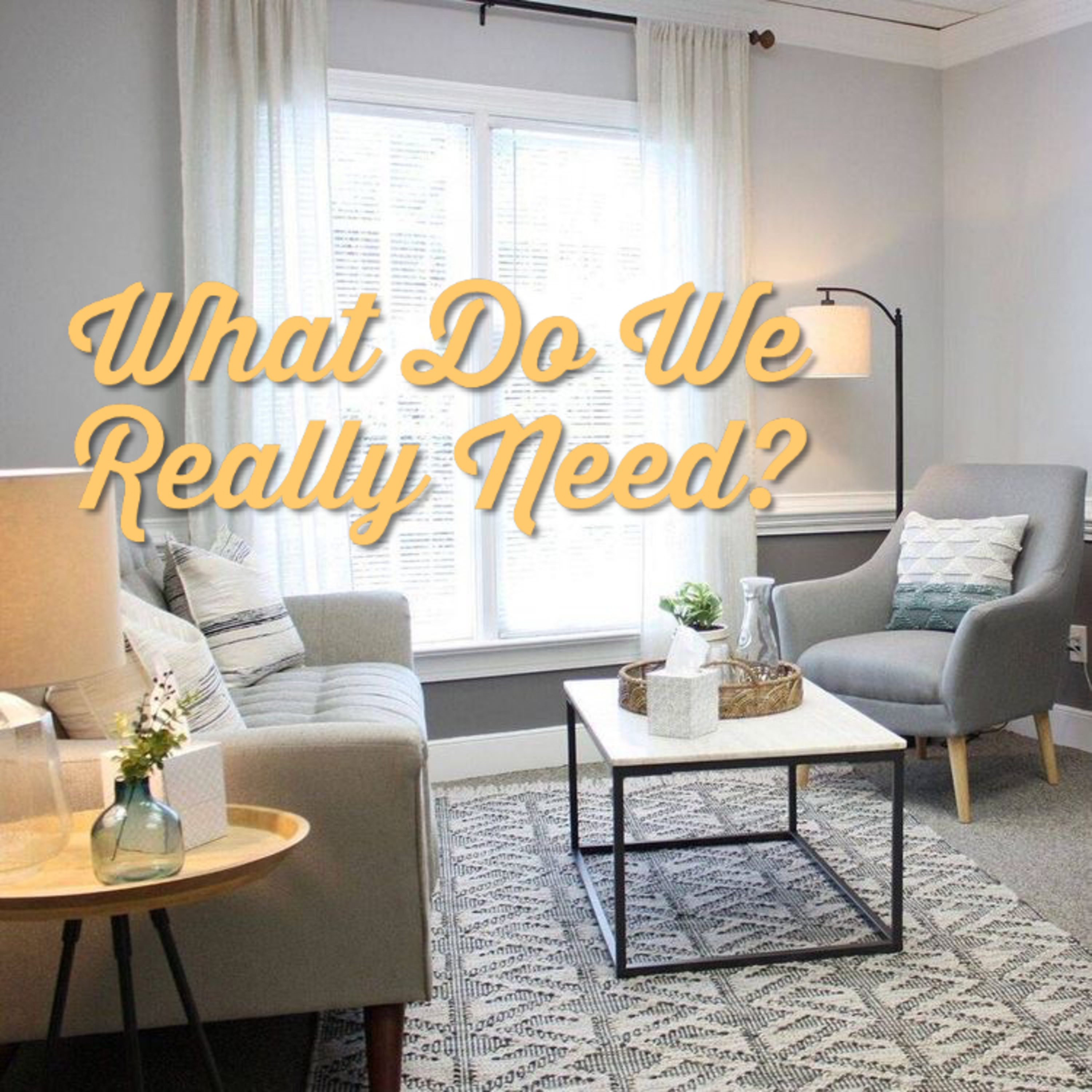 What Do We Really Need? episode artwork
