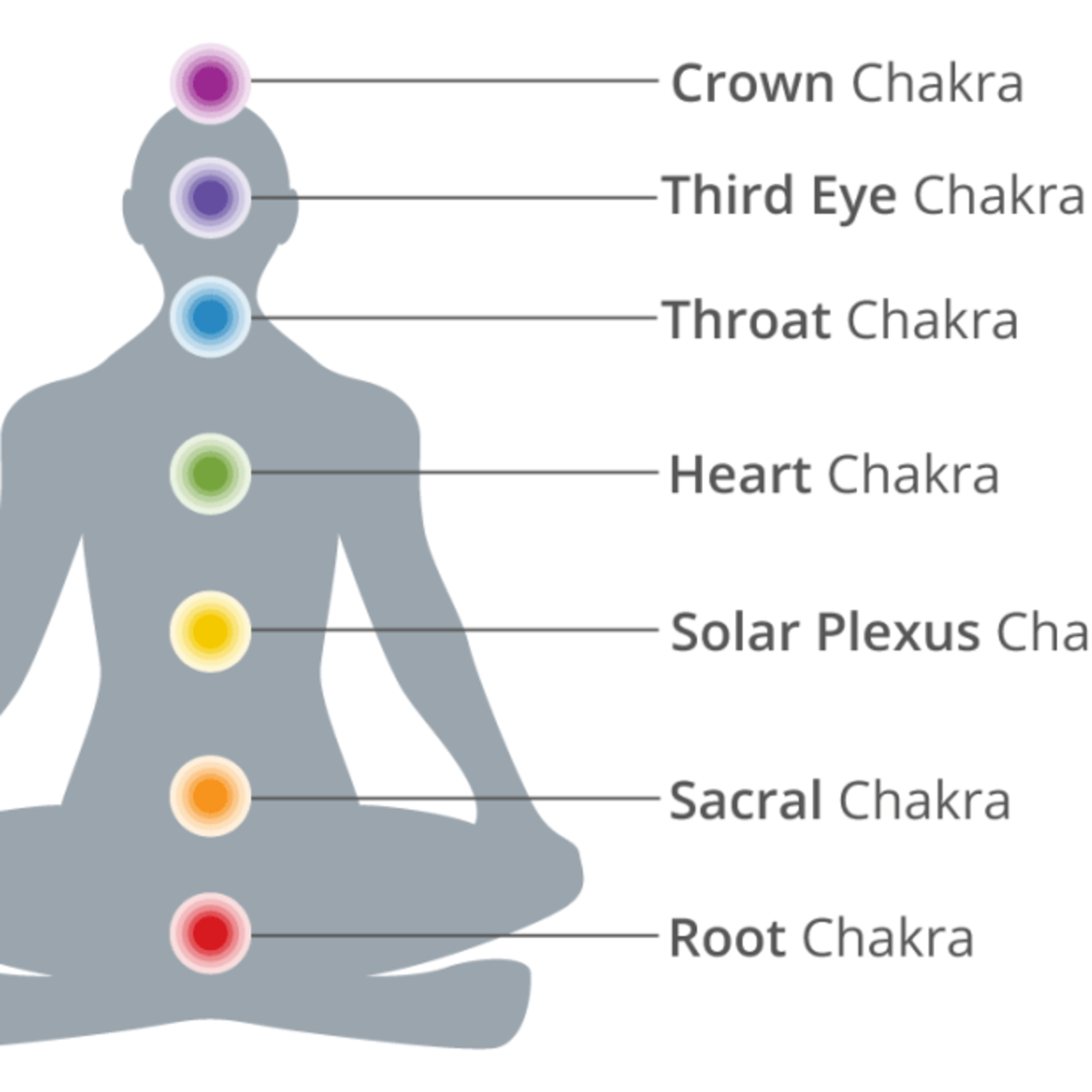 Michele Hauswirth - Yoga Training Tips