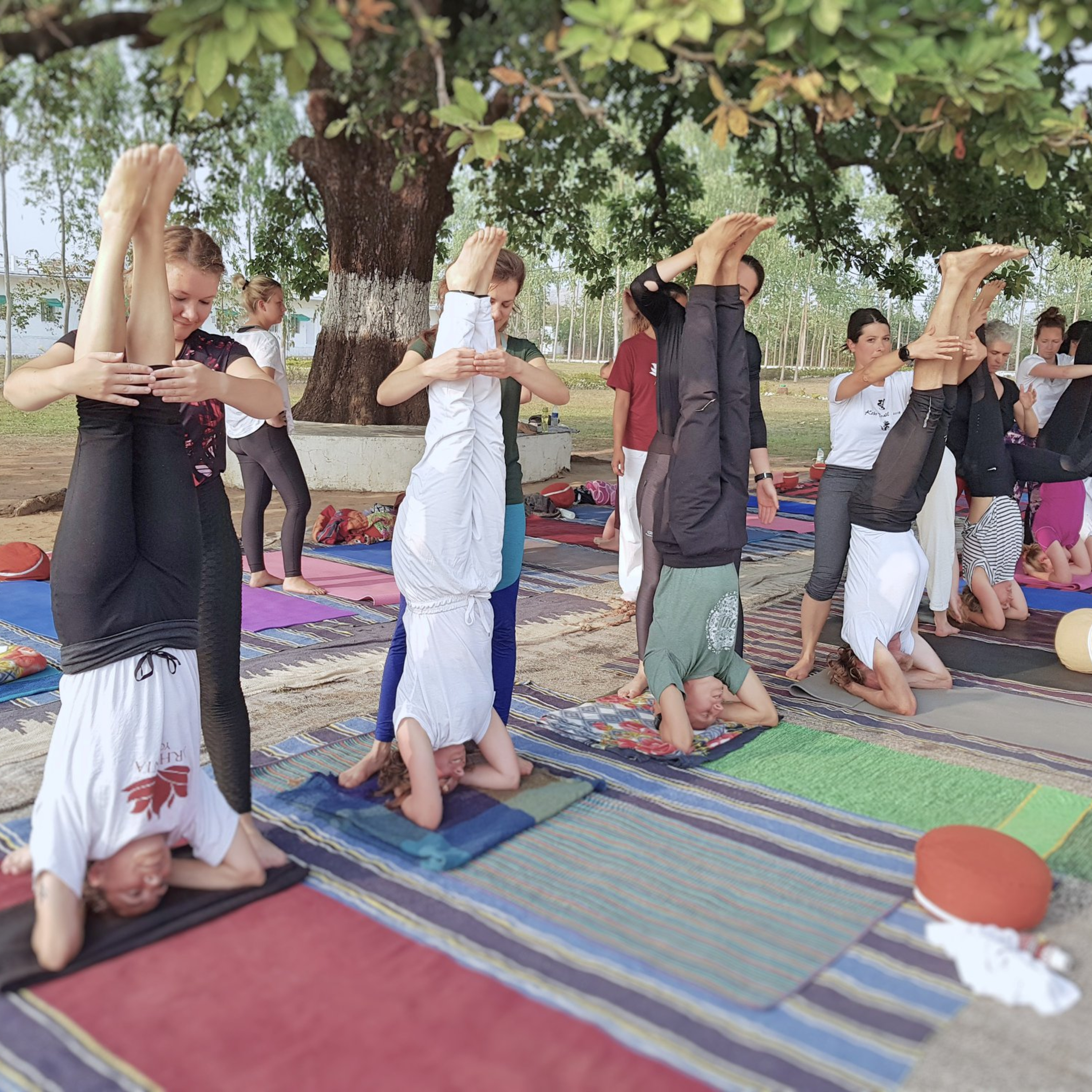 Michele Hauswirth - Yoga Training Tips