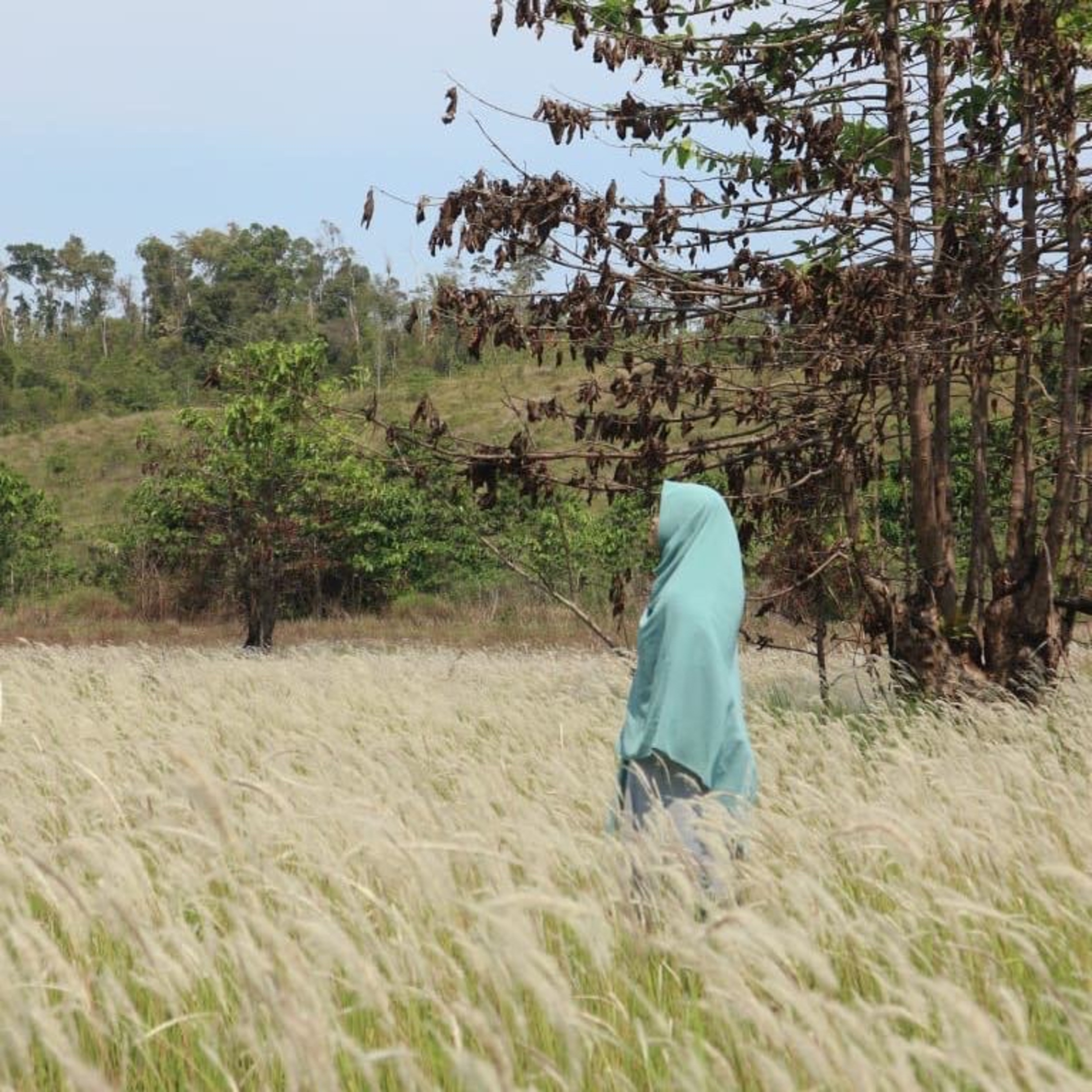 Manusia Biasa