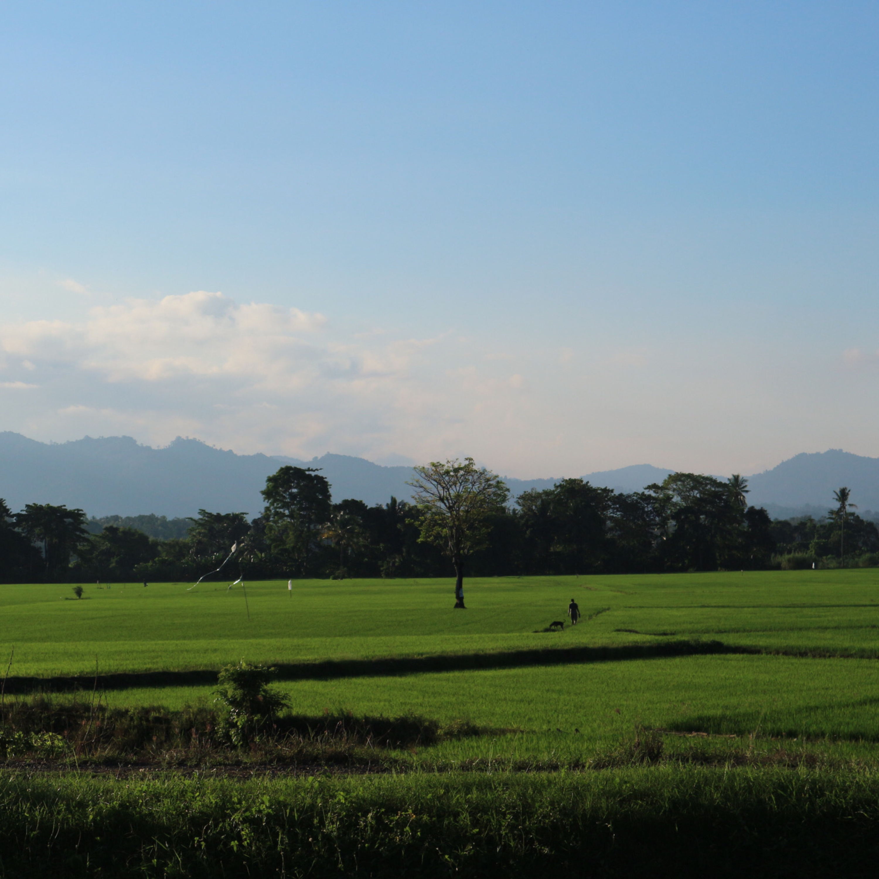 Manusia Biasa