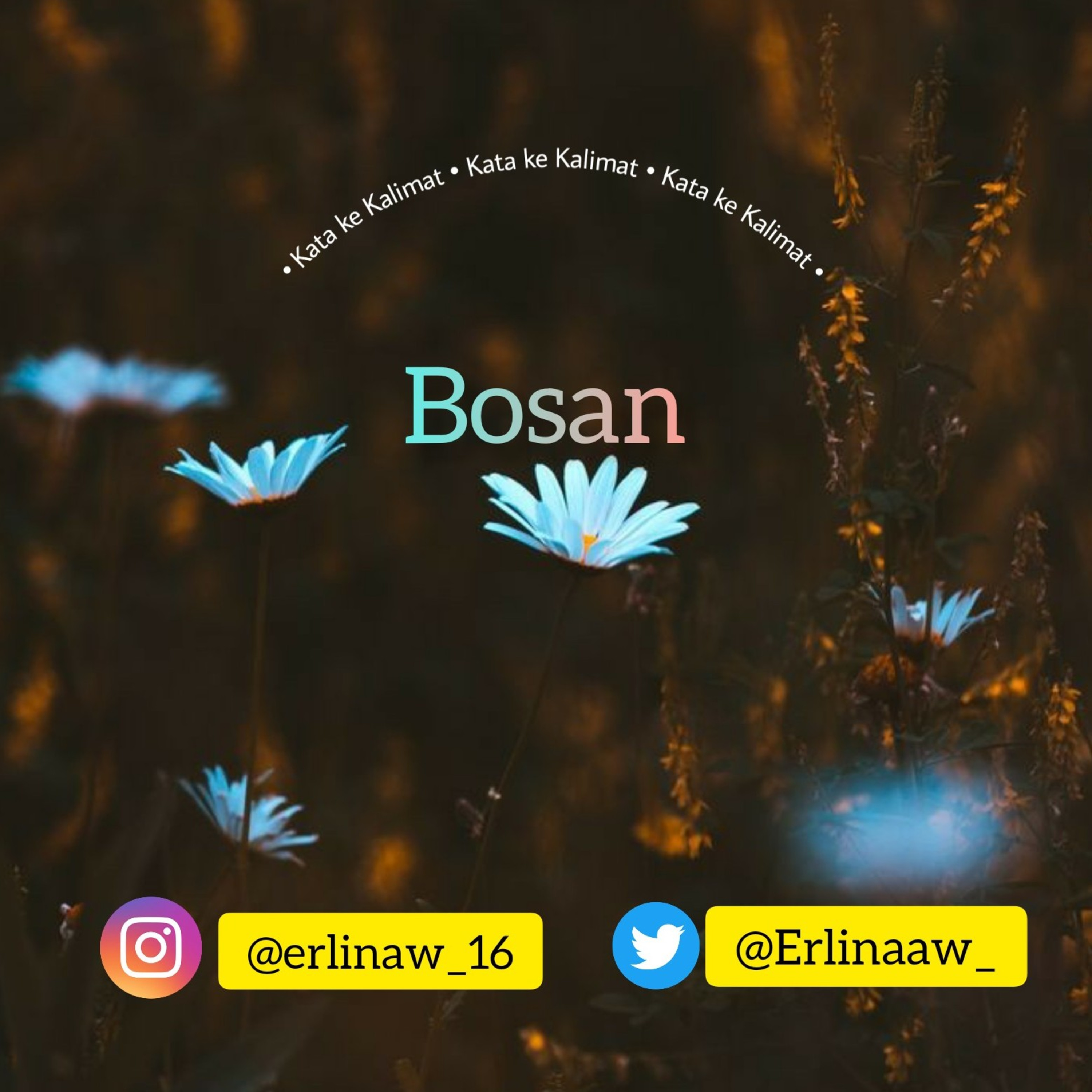 Ercast