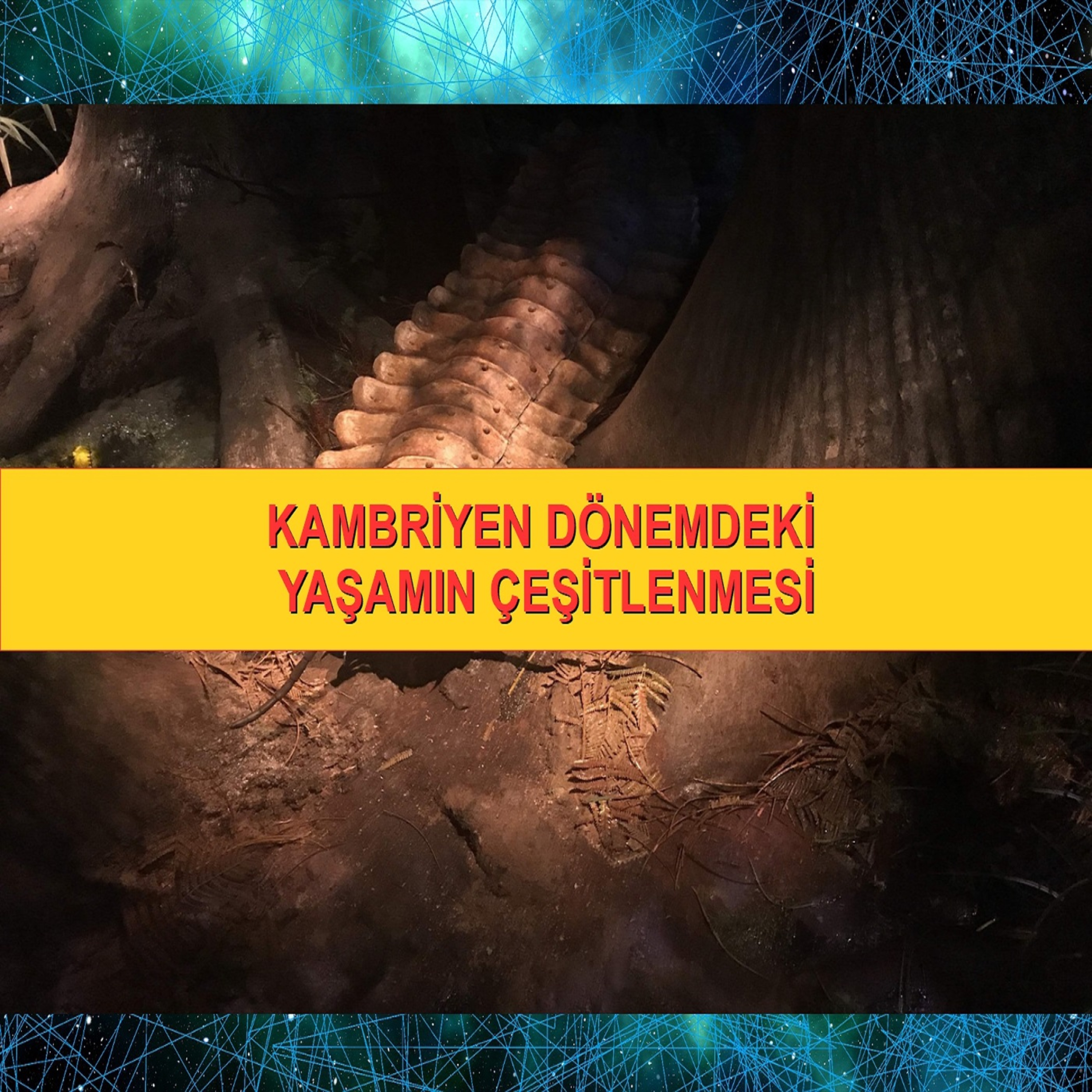 Bilim Teknik Güncesi 18 Şubat 2019