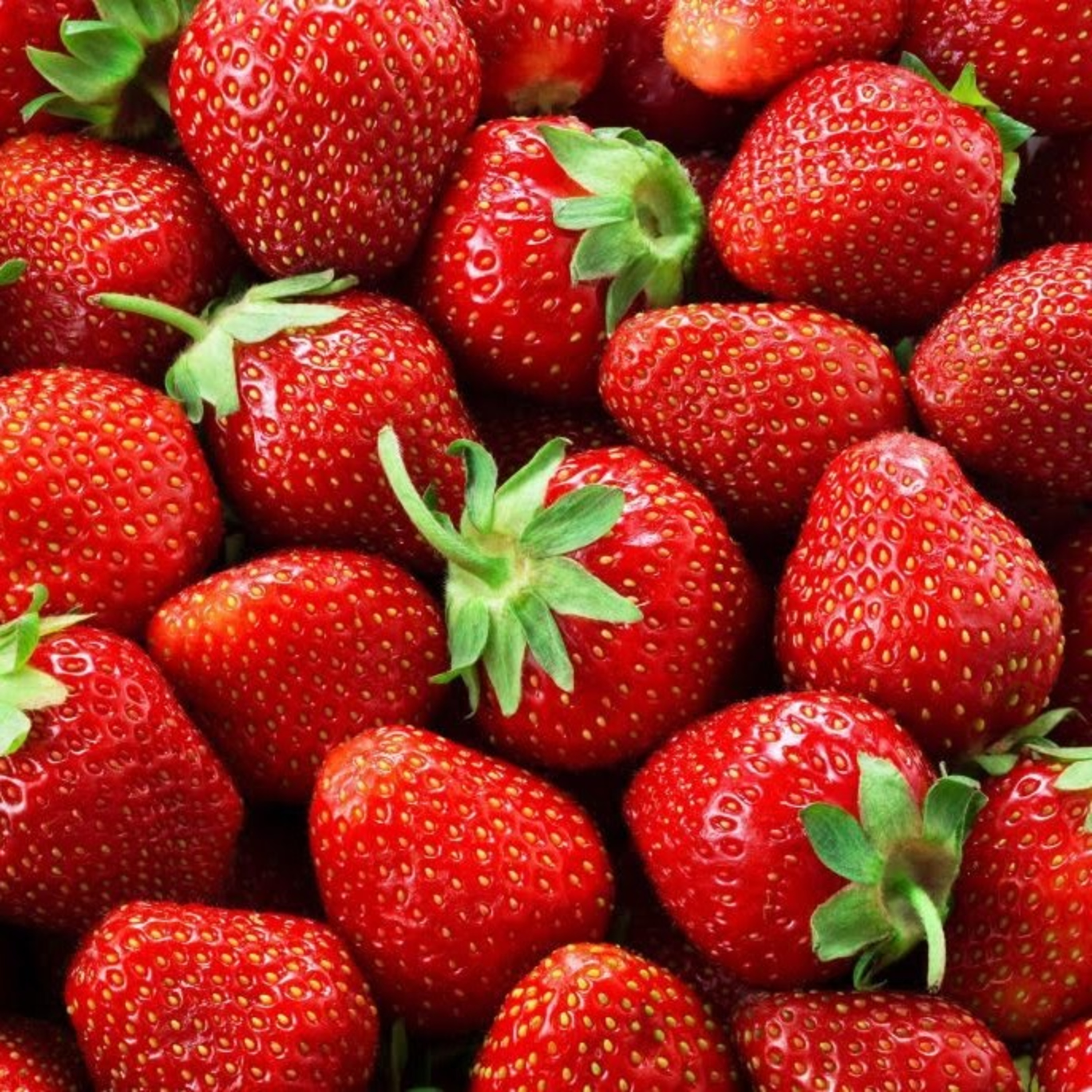 Racconti Di Notte Storie Di Giorni