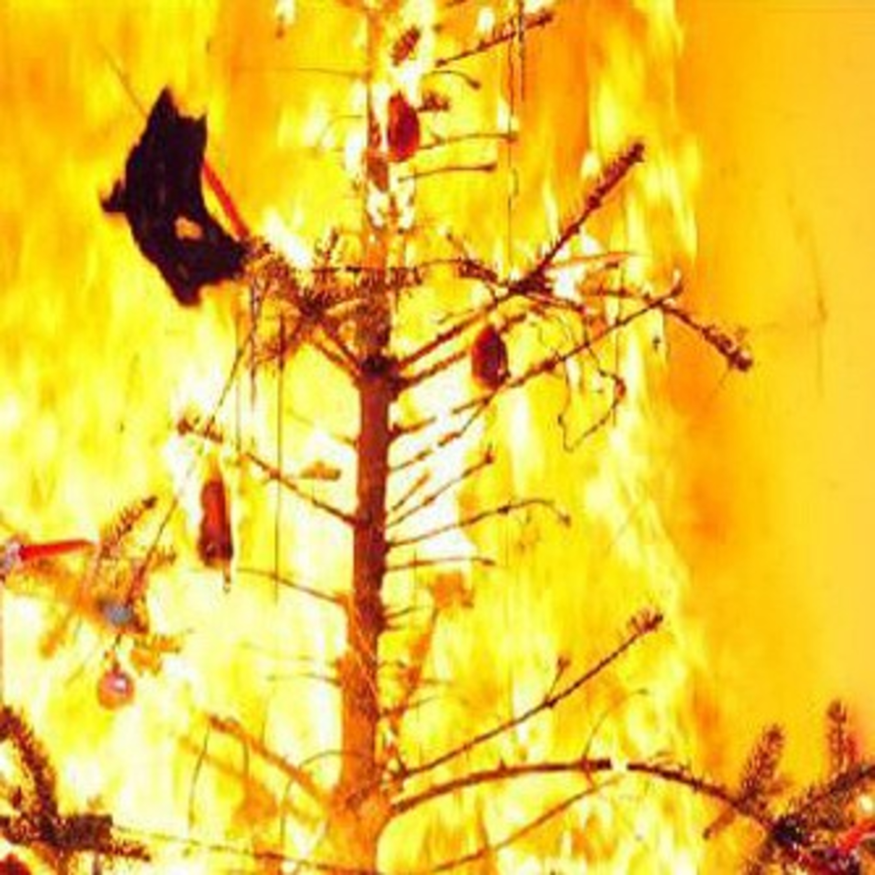 Racconti Di Notte Storie Di Giorni