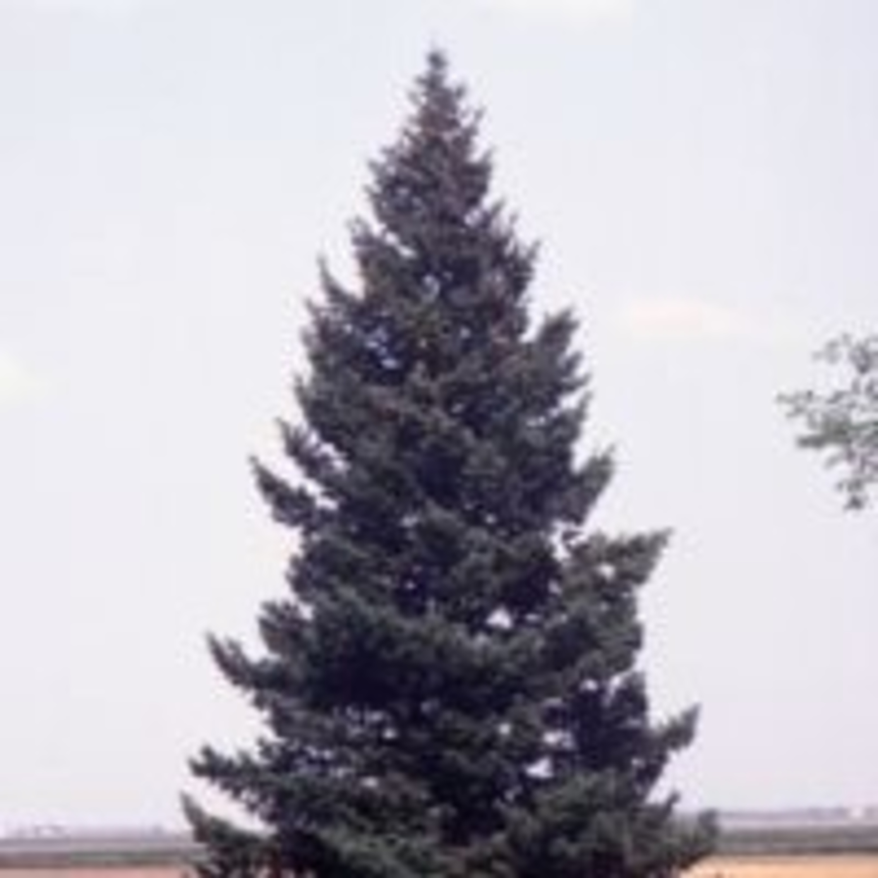 Racconti Di Notte Storie Di Giorni