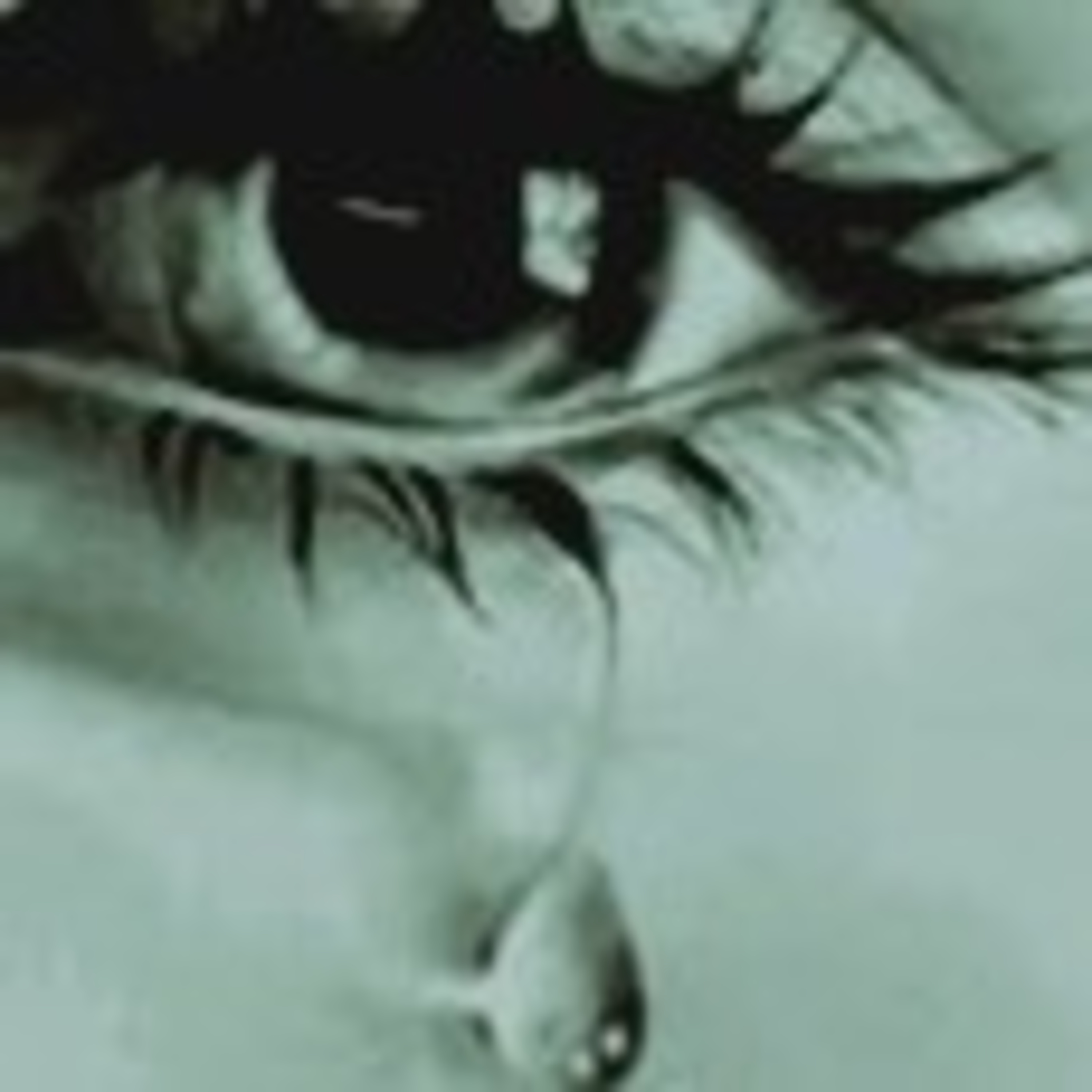 Racconti Di Notte Storie Di Giorni