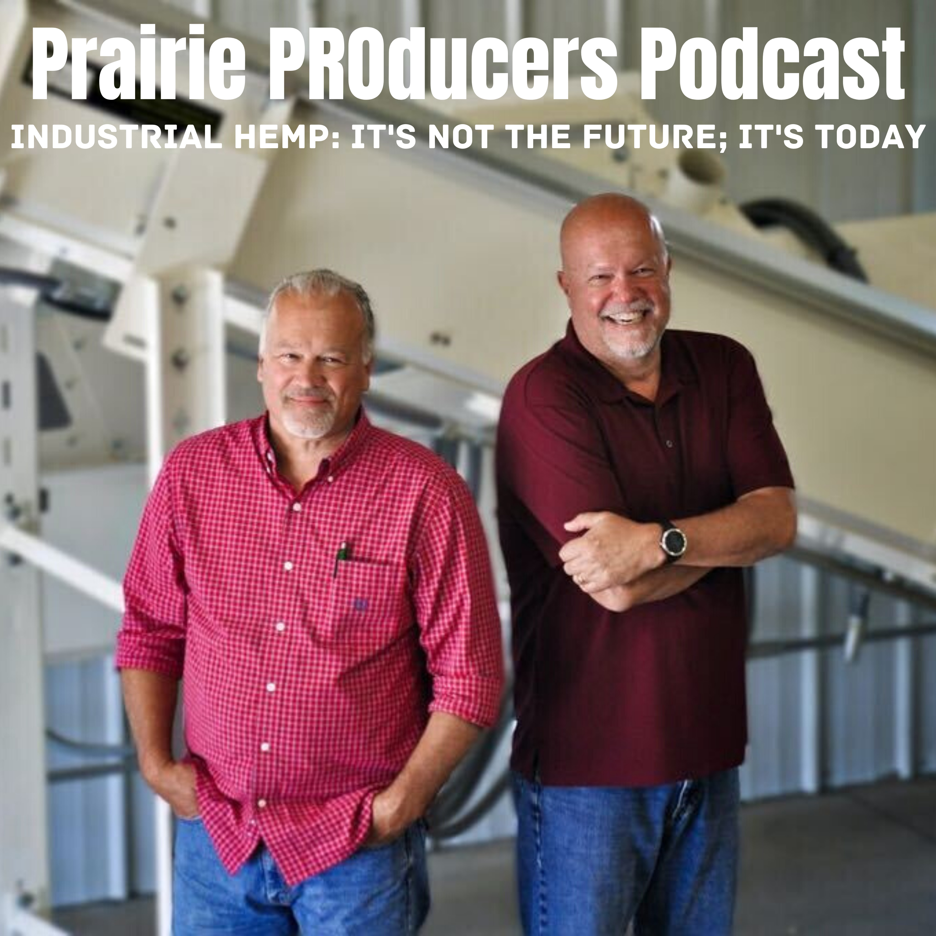 Prairie PROducers Podcast | industrial hemp: it\'s not the future; it\'s today