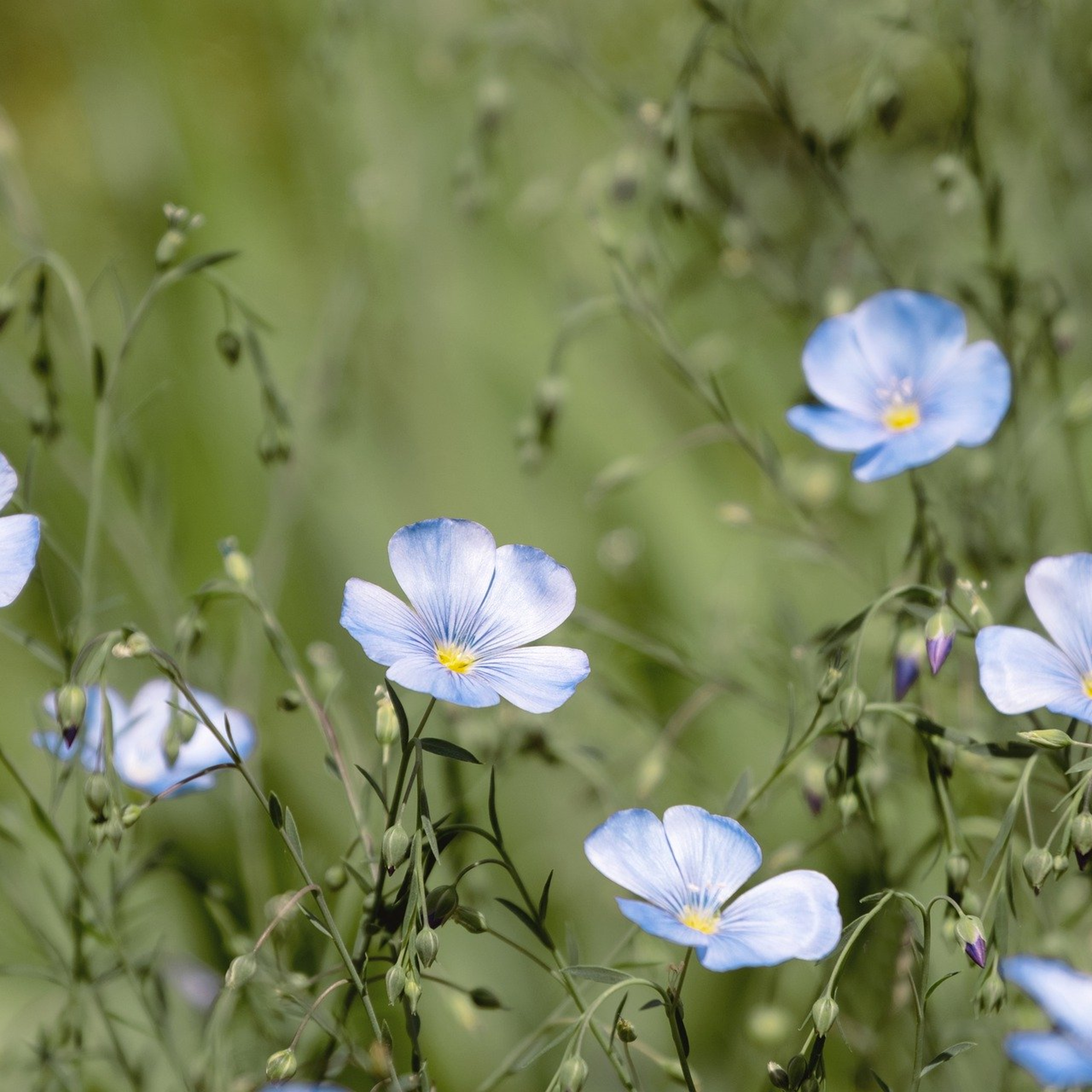 Darlane Nunes / Bibliotecária