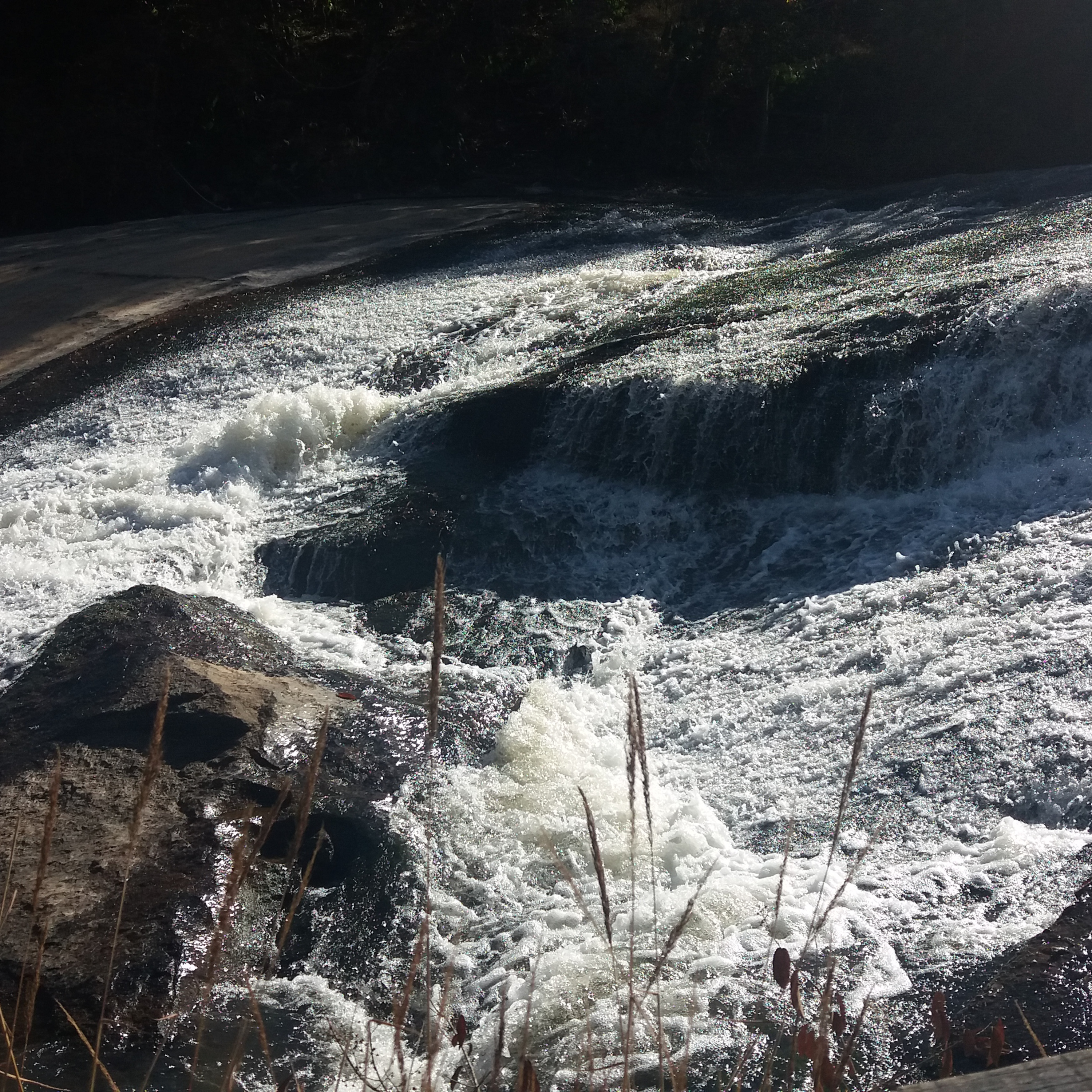 Darlane Nunes / Bibliotecária