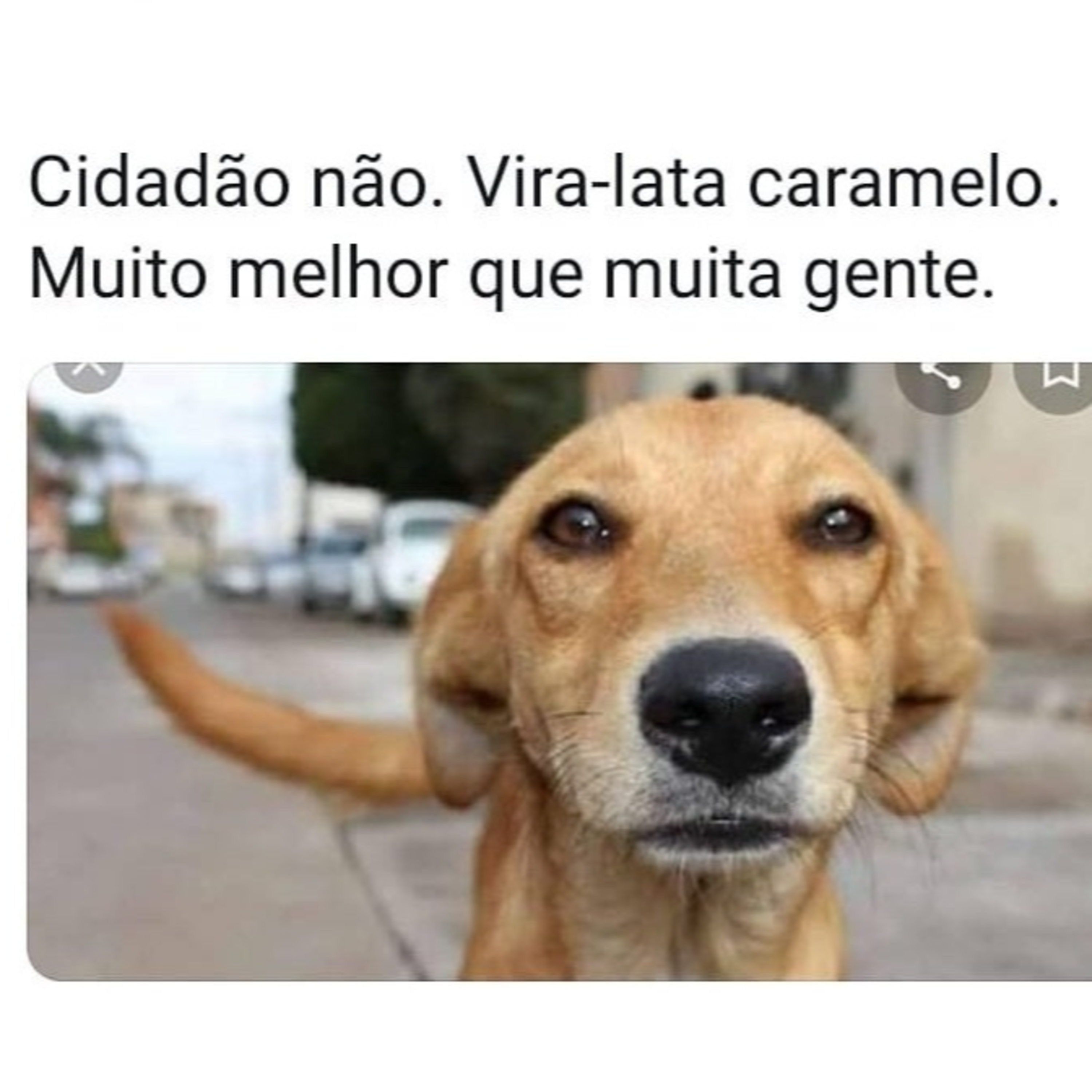 Por Isso Eu Bebo