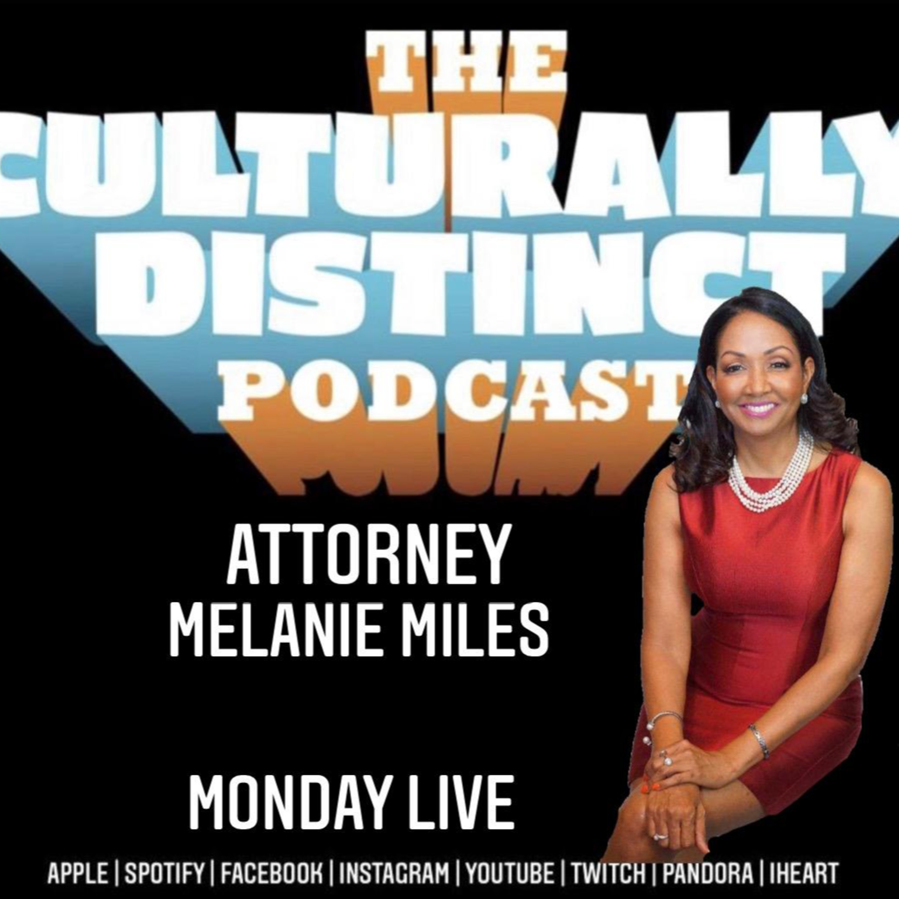 Attorney Melanie Miles and Attorney Ieshia Champs | Episode 66 | Campaign for Judge episode artwork